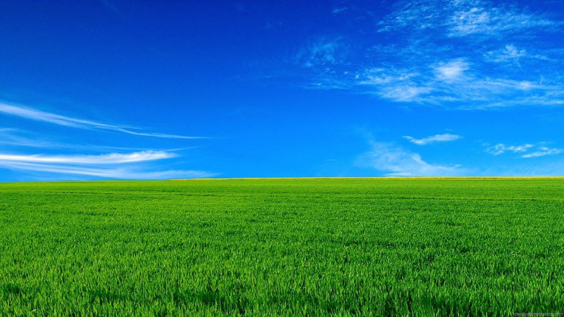 1920x1080 फुल एचडी प्रकृति हरी घास नीला आसमान वॉलपेपर