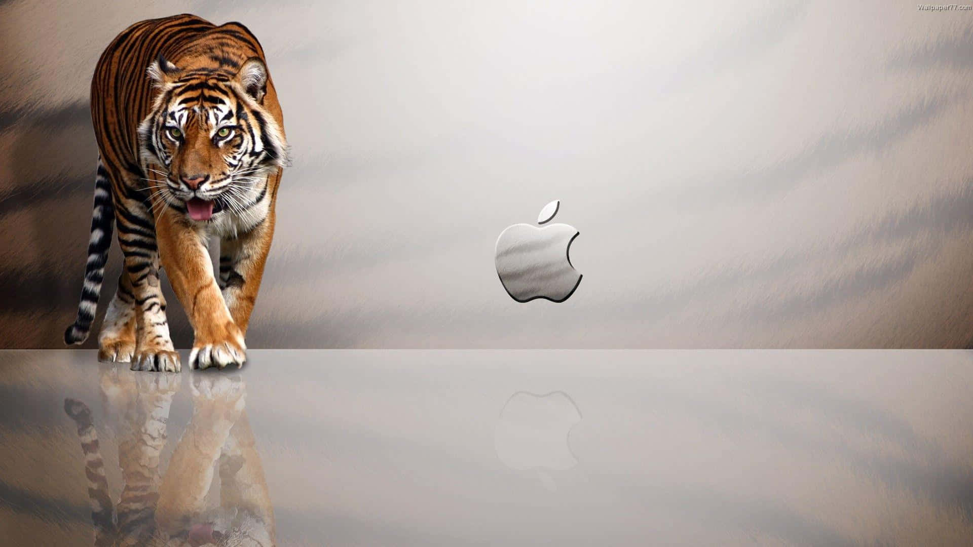 1920x1080 Apple बैकग्राउंड टाइगर स्ट्राइप्स वॉलपेपर
