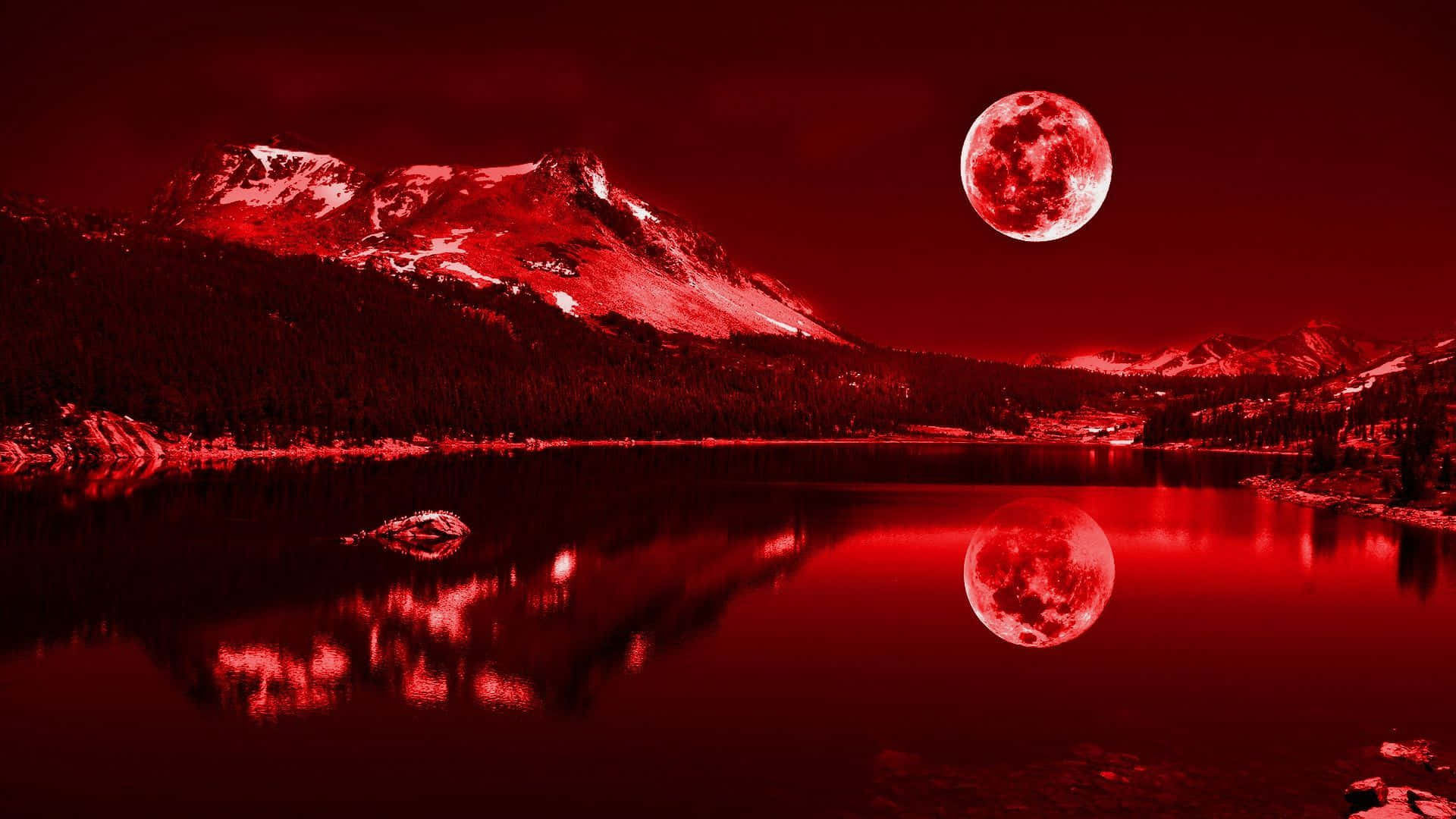 लाल 1920x1080 वॉलपेपर