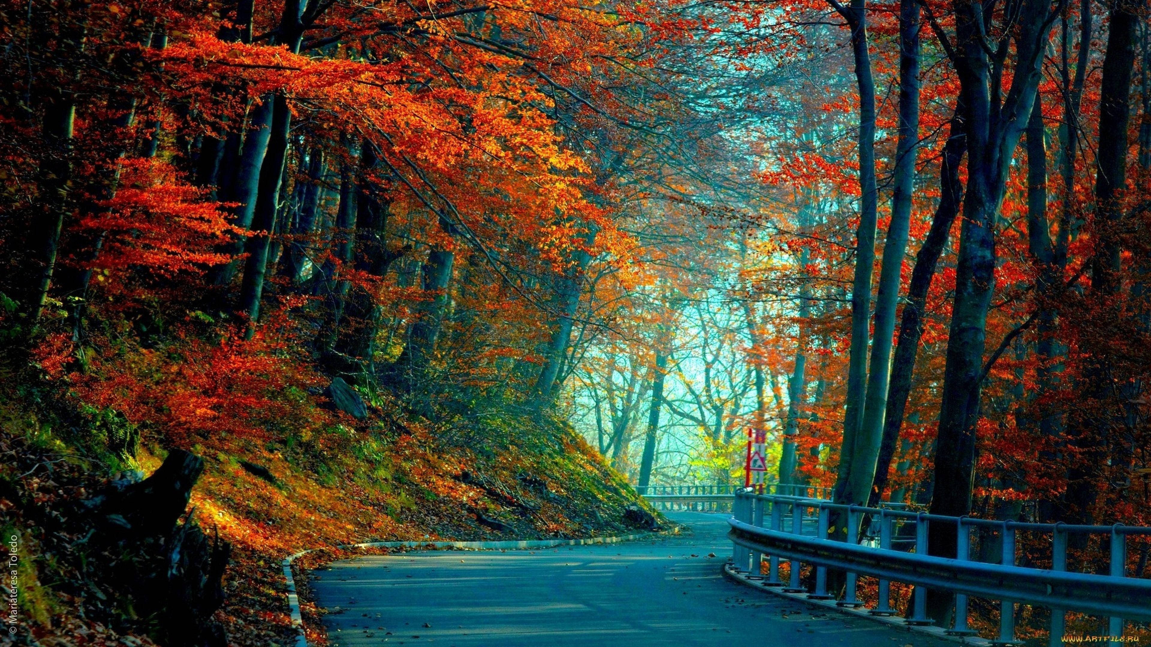 3840x2160 मॉनिटर वन सड़क वॉलपेपर