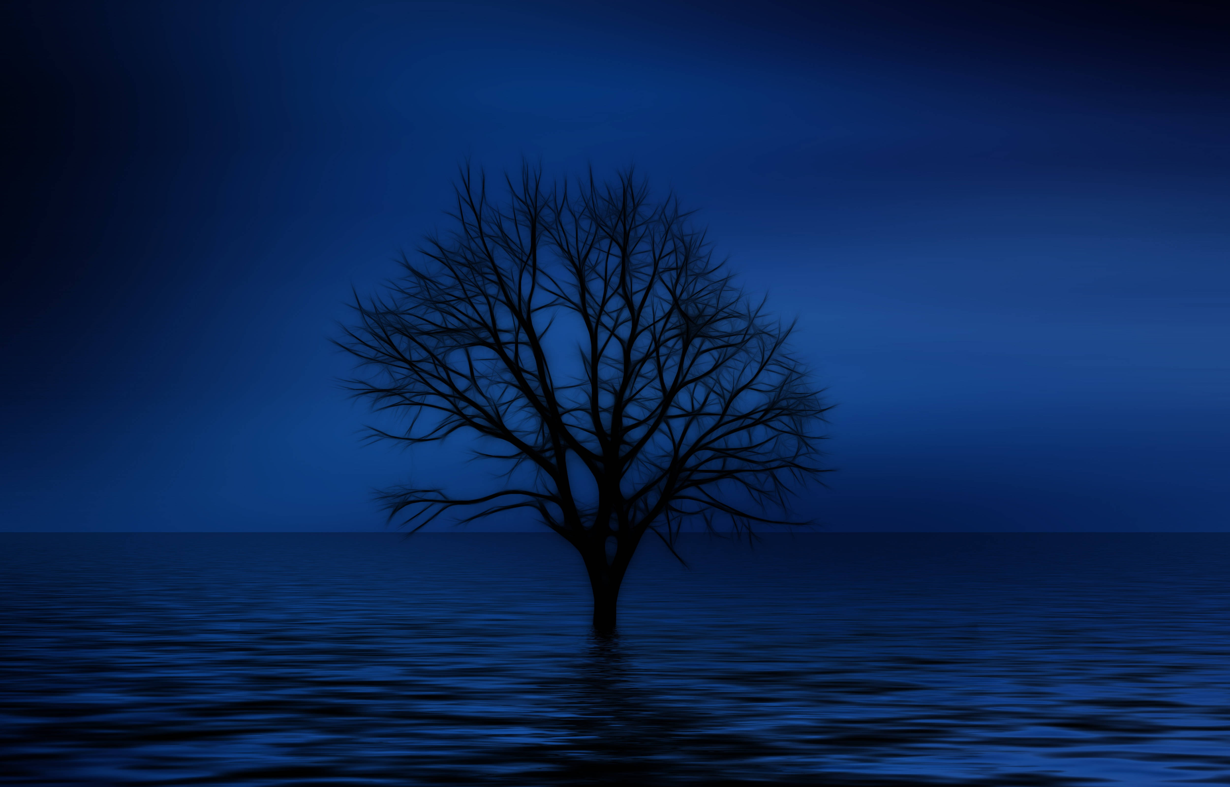 नीला 4K अकेला पेड़ वॉलपेपर