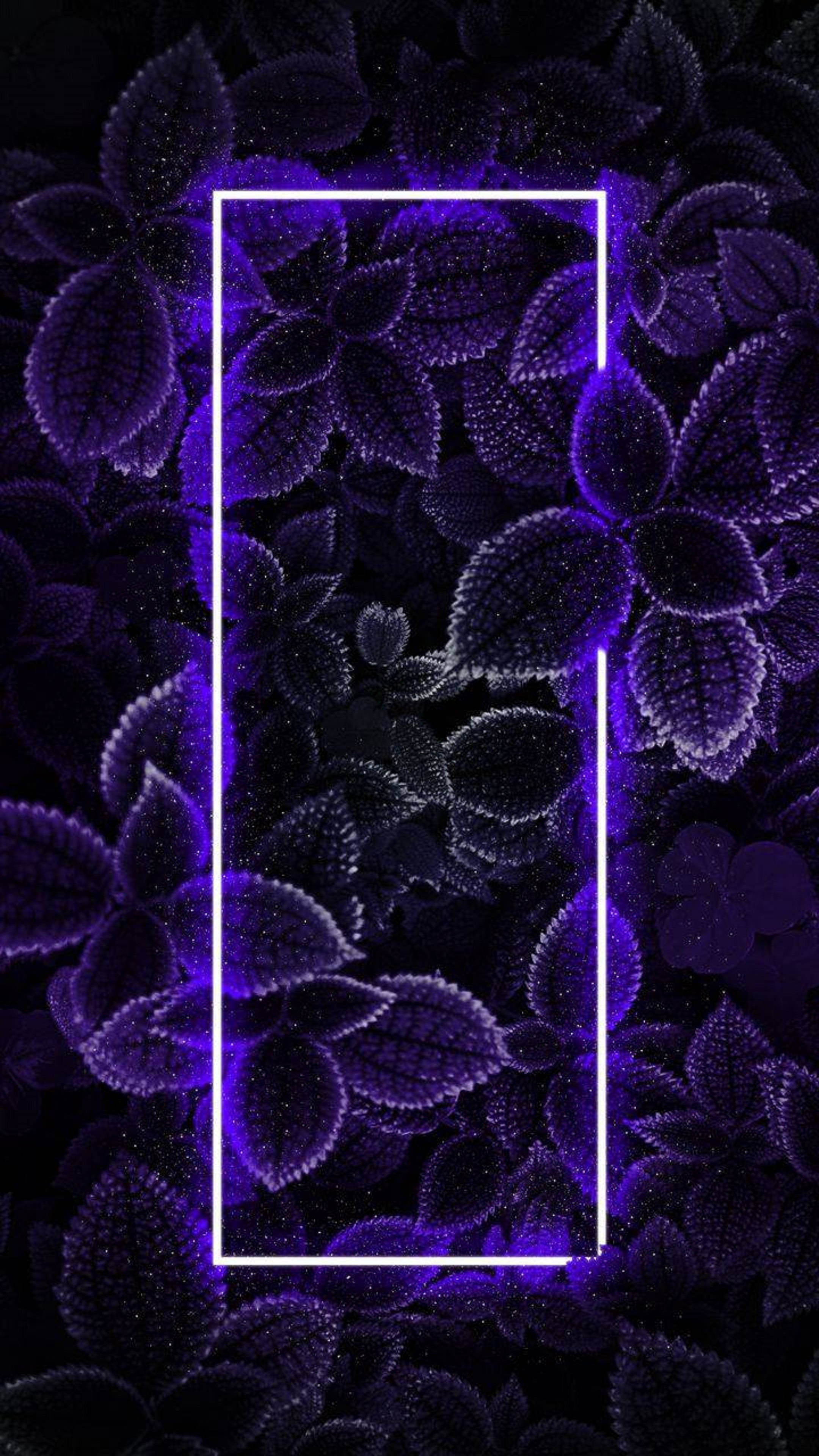 4K नियॉन iPhone पत्तियां वॉलपेपर