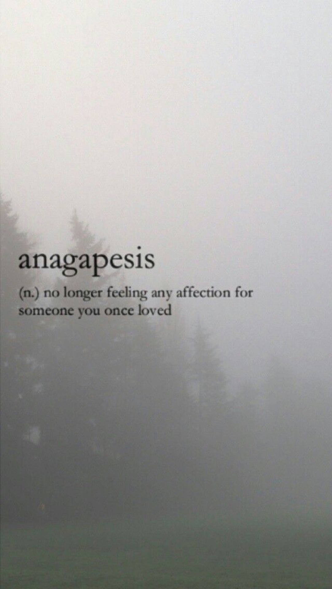 Anagapesis एस्थेटिक शब्द वॉलपेपर — सौंदर्यपूर्ण शब्द वॉलपेपर
