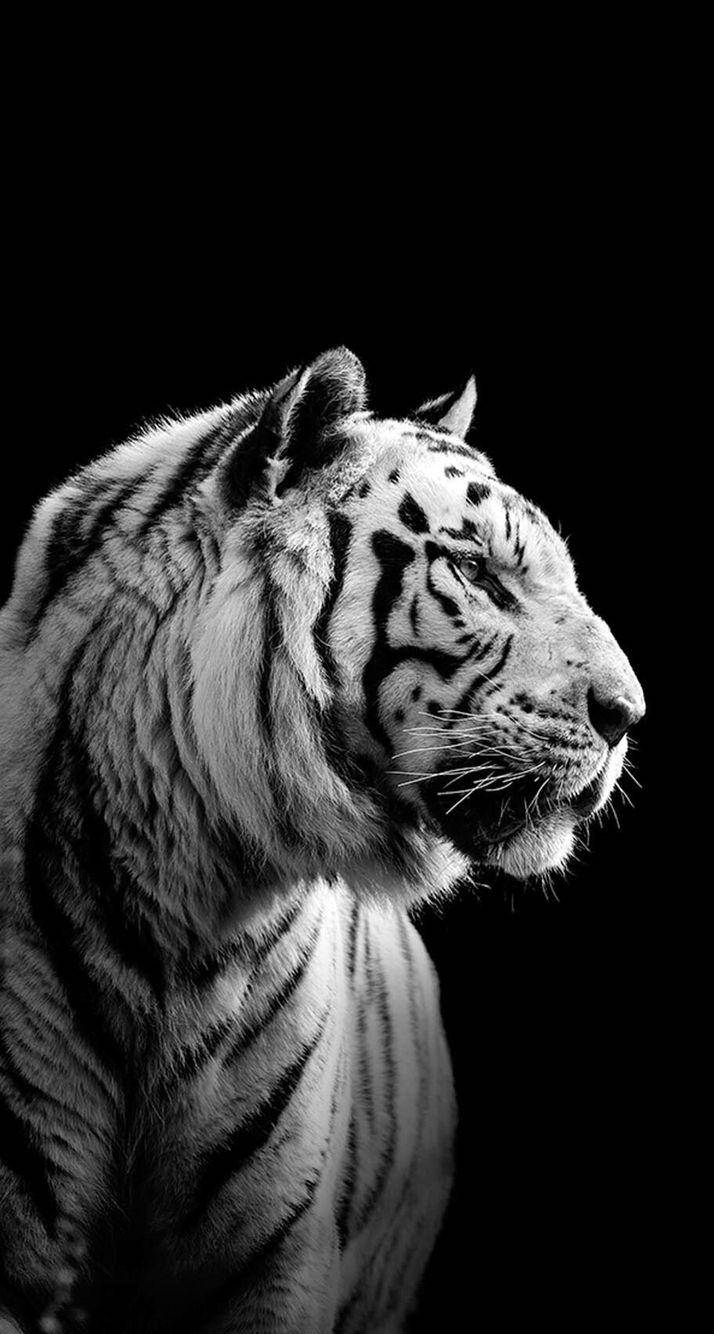 B&W हरिमाउ वॉलपेपर