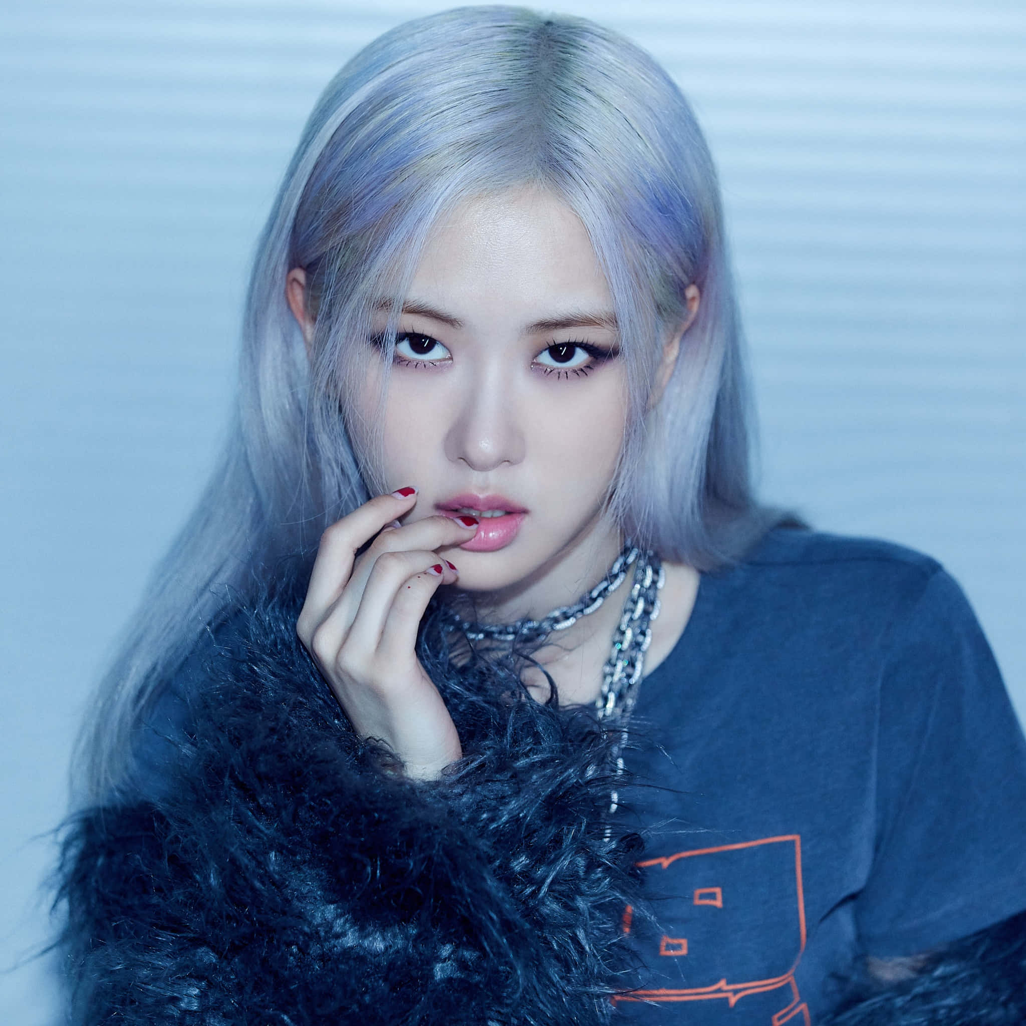 BLACKPINK Rose के साथ Pfp आइडियाज वॉलपेपर