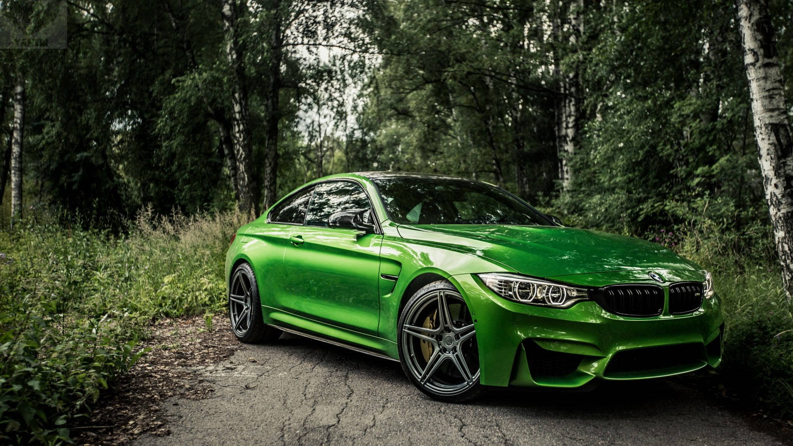 कैप्शन: जंगल में दहाड़ती हरी BMW M4 की भव्यता वॉलपेपर