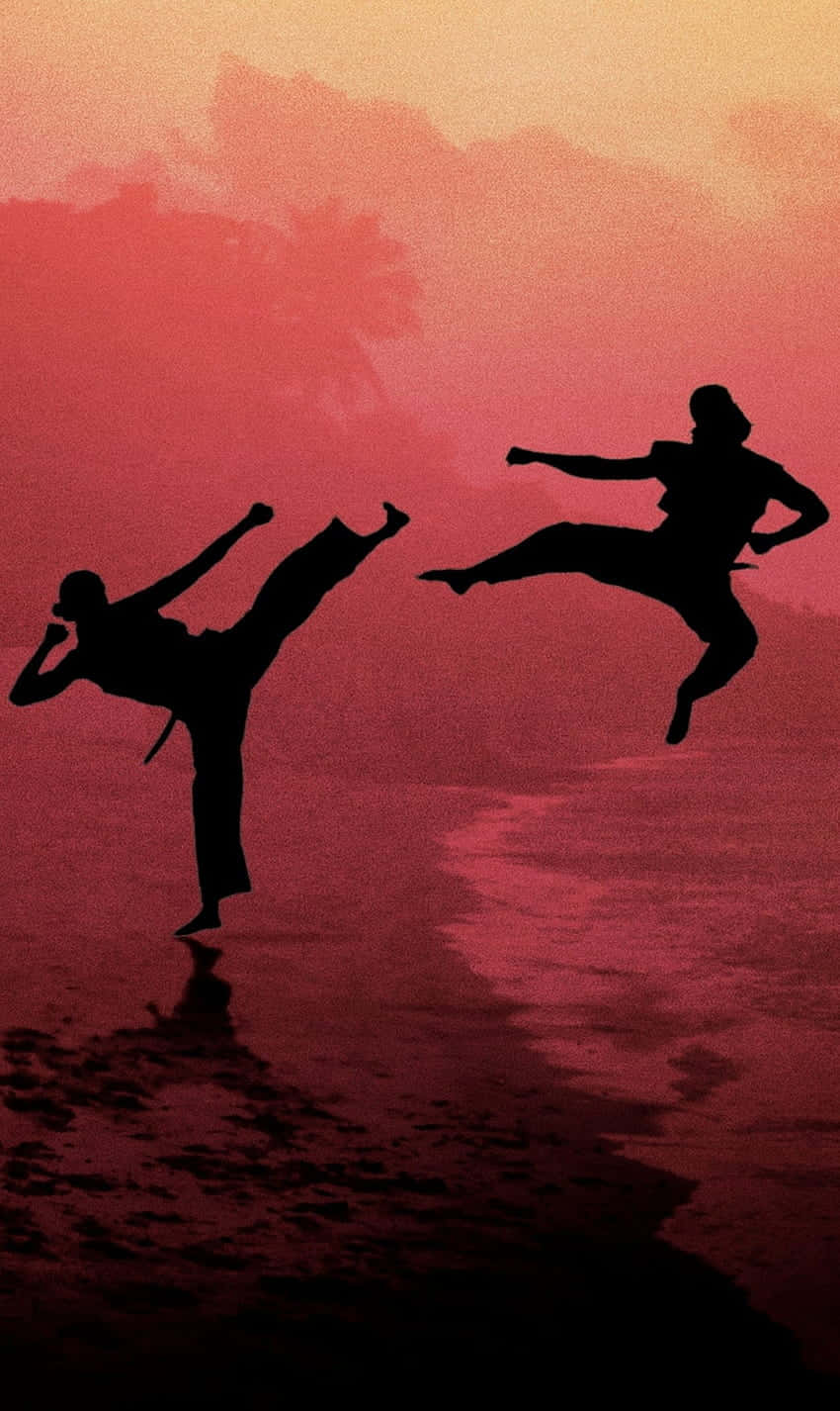 Cobra Kai iPhone Xr लड़ाई सिल्हूट पृष्ठभूमि वॉलपेपर