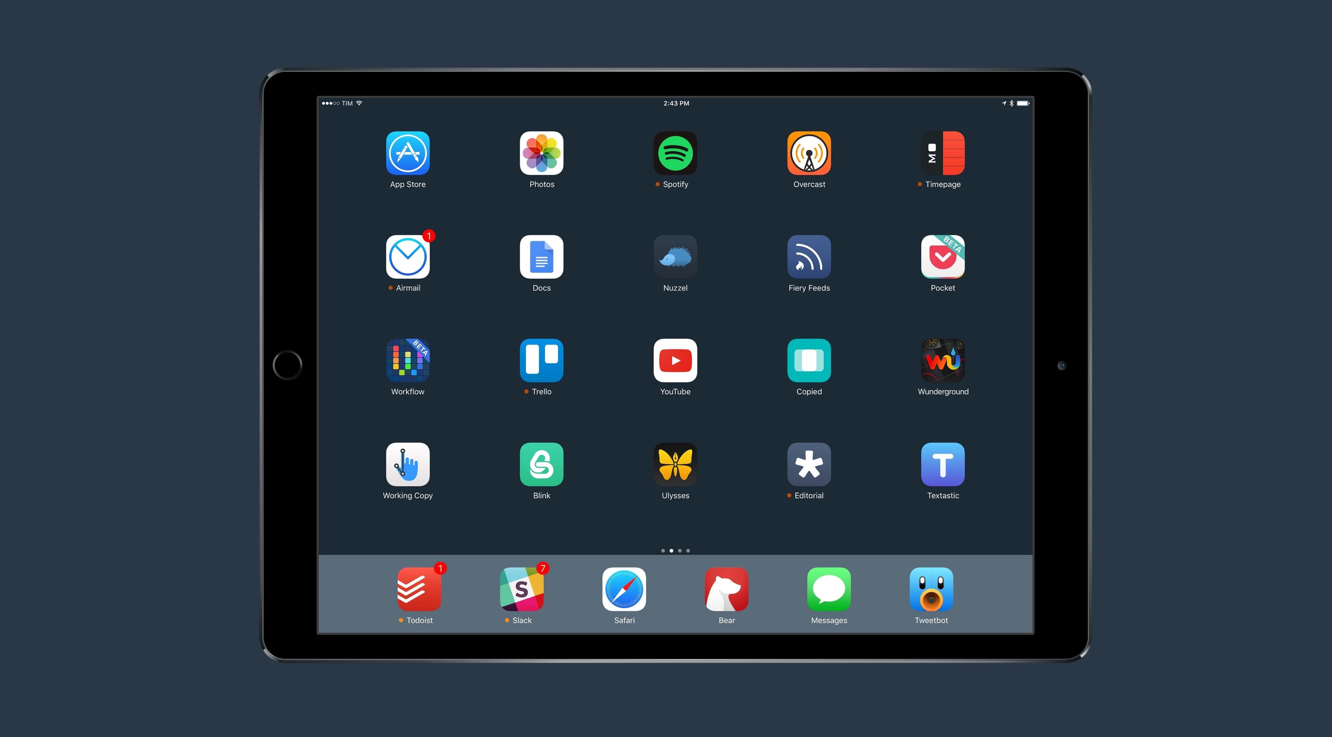 iPad के साथ जीवन का आनंद वॉलपेपर