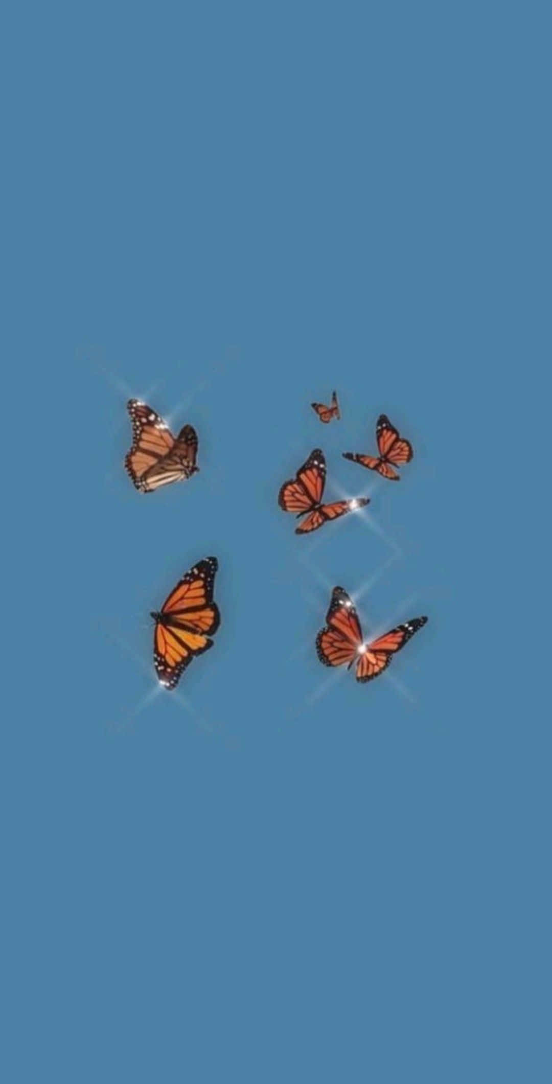 अपने रोज़मर्रा के जीवन को एक आकर्षक iPhone से बेहतर बनाएं वॉलपेपर
