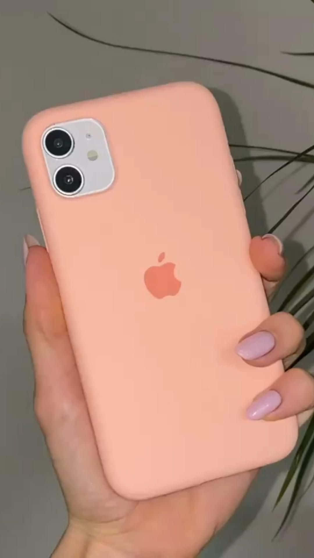 iPhone 12 की तस्वीरें वॉलपेपर