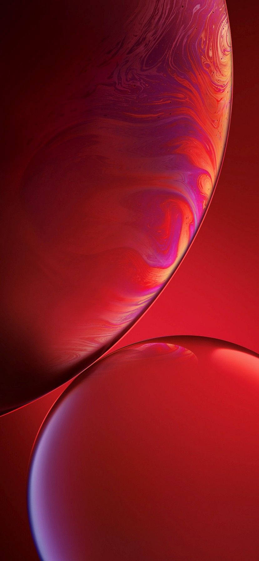 "iPhone XR के जीवंत रंग किसी भी वॉलपेपर के लिए सही पृष्ठभूमि बनाते हैं।" वॉलपेपर