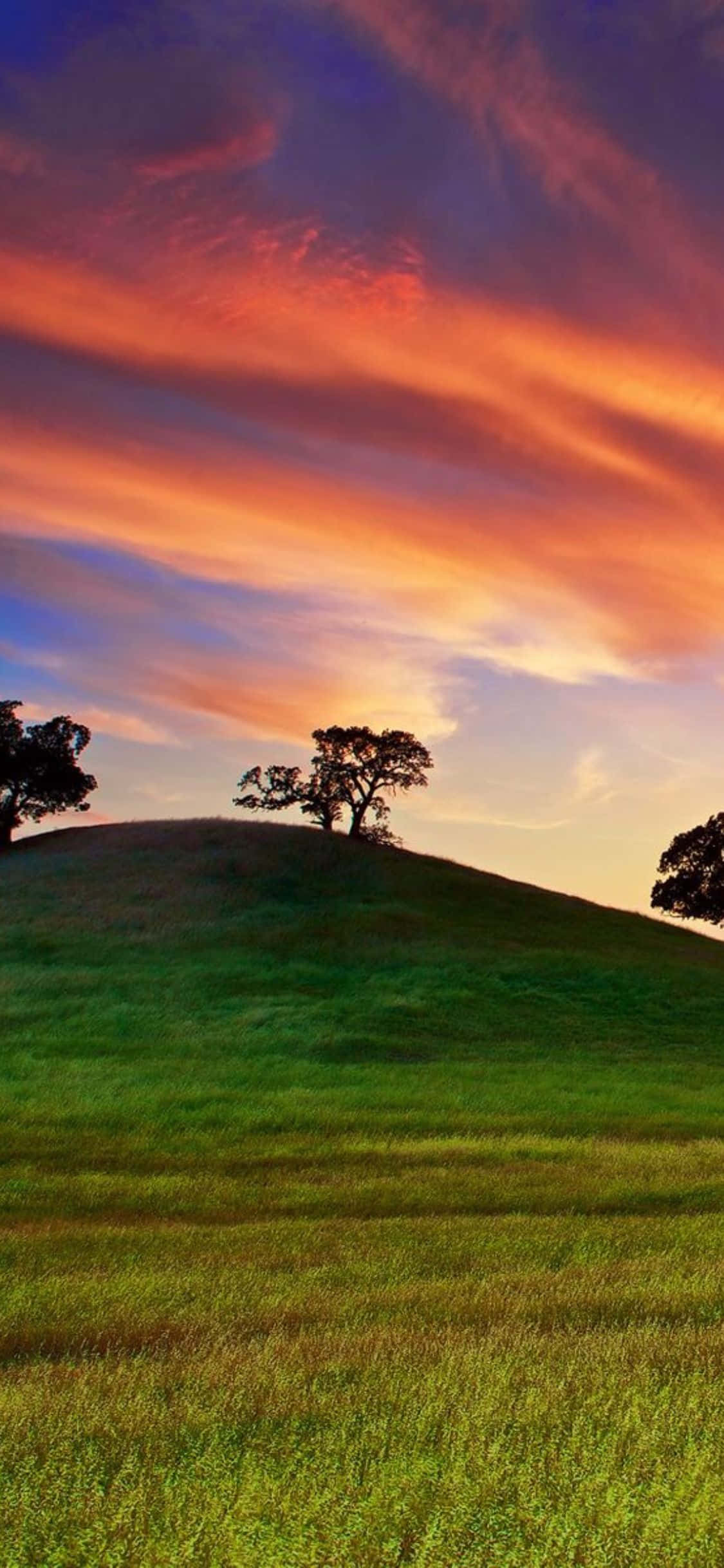 शानदार iPhone Xs California के साथ गोल्डन गेट ब्रिज के नज़ारों का आनंद लें वॉलपेपर