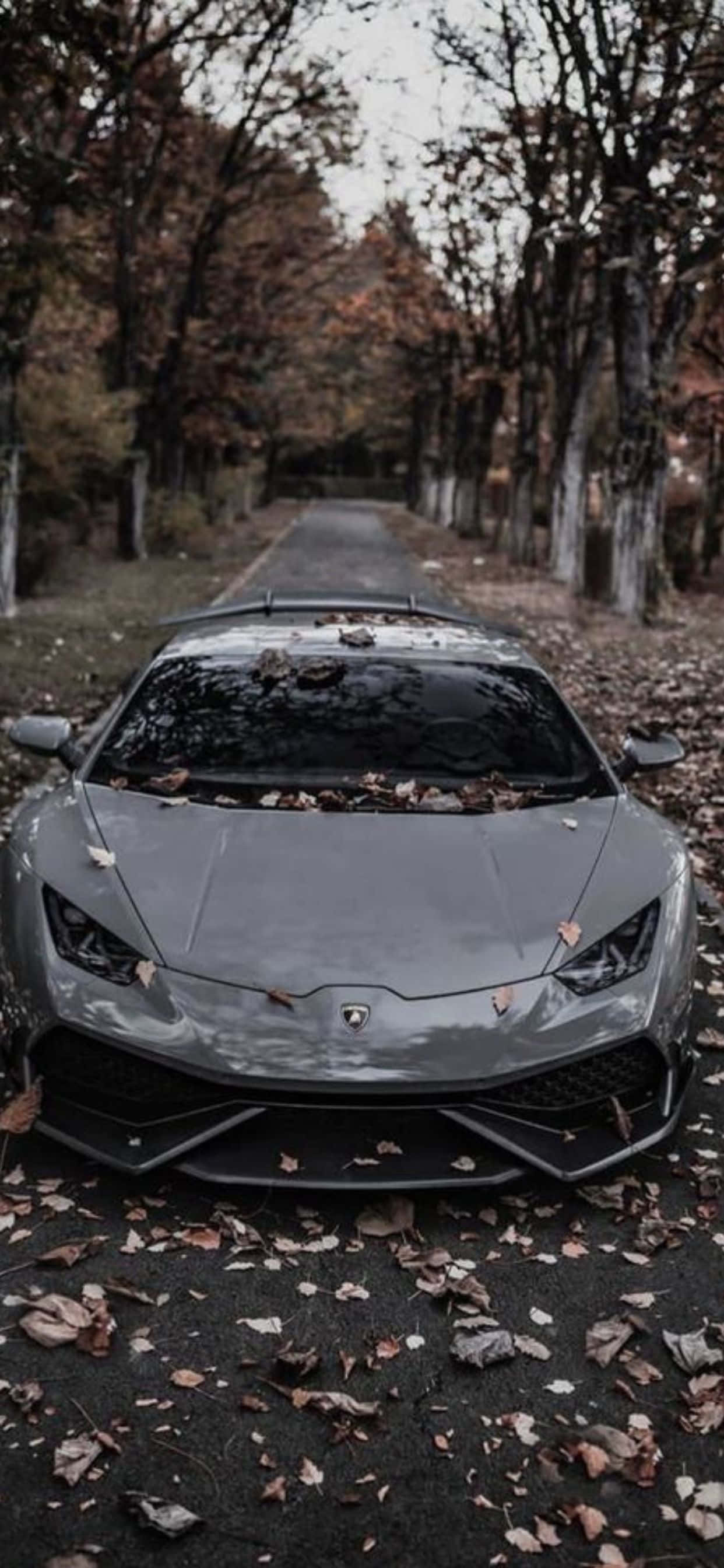 iPhone XS Max Lamborghini Huracan ग्रे कार बैकग्राउंड वॉलपेपर