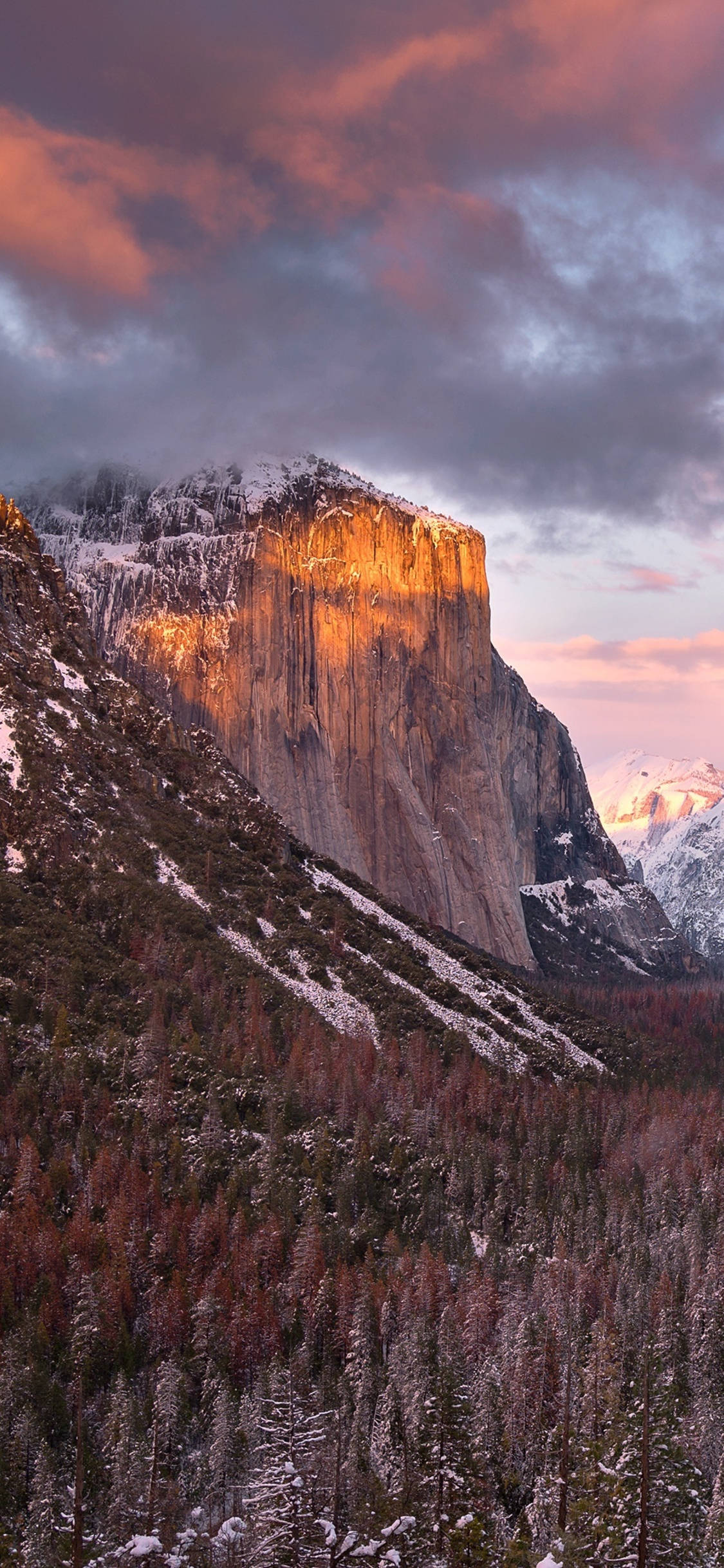 iPhone के लेंस से देखा गया Yosemite National Park का एक खूबसूरत नज़ारा वॉलपेपर