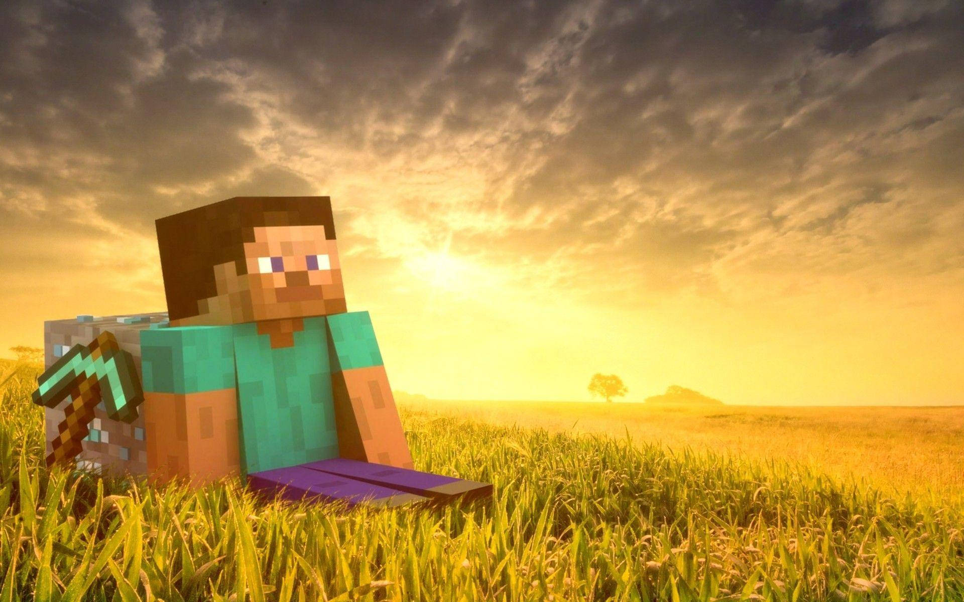 Minecraft Steve घास के मैदान में HD वॉलपेपर — माइनक्राफ्ट वॉलपेपर