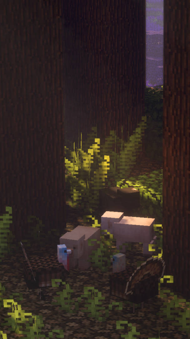 Minecraft एस्थेटिक छिपा हुआ अंधेरा जंगल वॉलपेपर