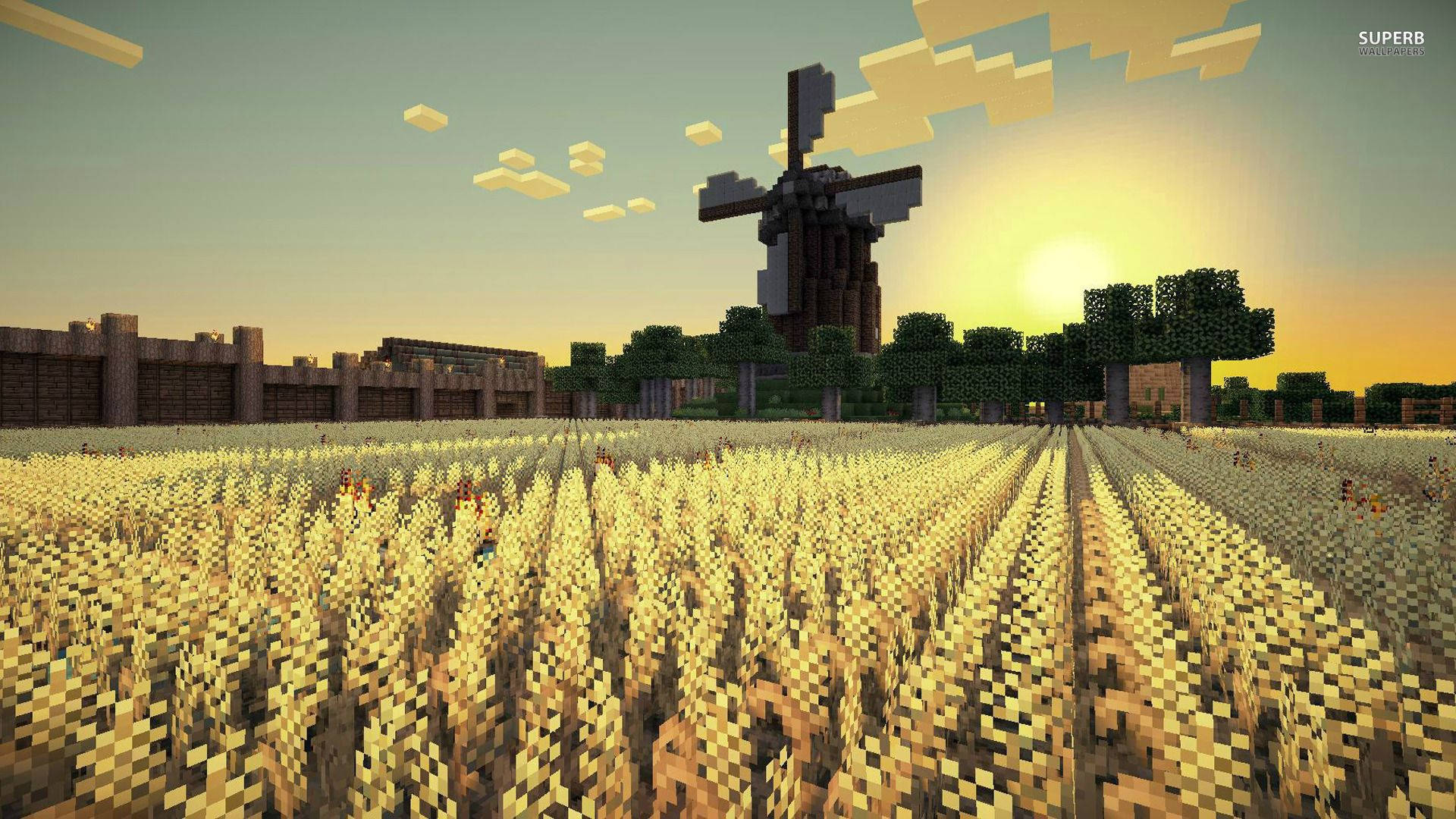 Minecraft धान के खेत सुबह सूर्योदय दृश्य वॉलपेपर — माइनक्राफ्ट वॉलपेपर