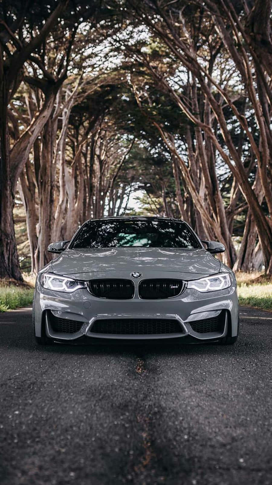 Pixel 3 BMW M4 सिल्वरस्टोन मेटैलिक II बैकग्राउंड वॉलपेपर