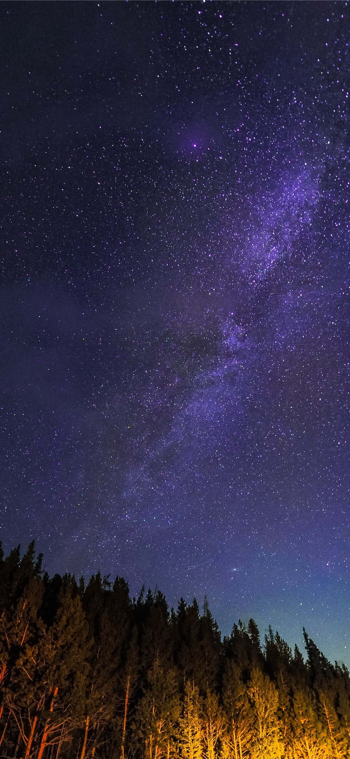 Starry_Night_Over_Forest.JPG वॉलपेपर