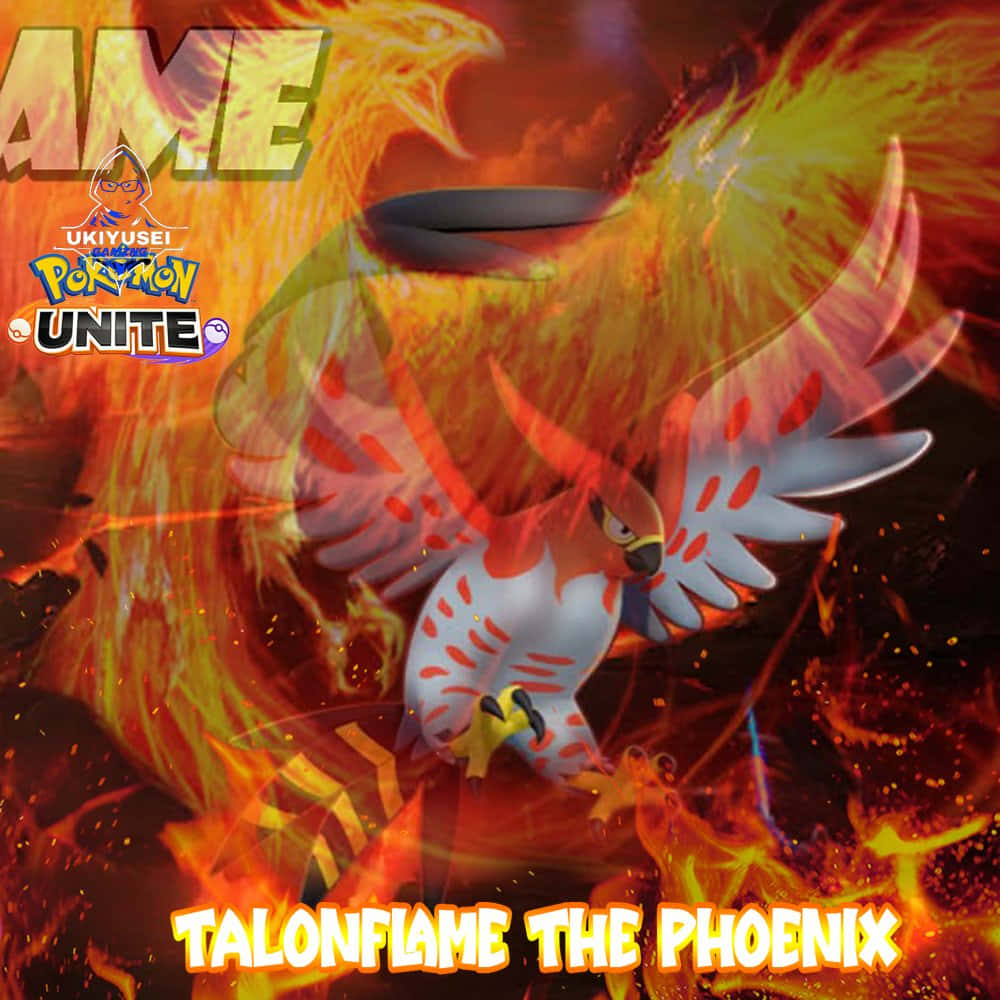 Talonflame फीनिक्स पोकेमॉन यूनाइट वॉलपेपर