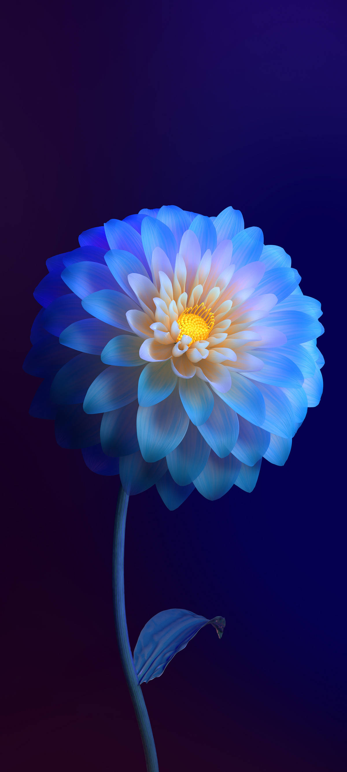 Vivo Y11 ग्रेडिएंट फूल वॉलपेपर