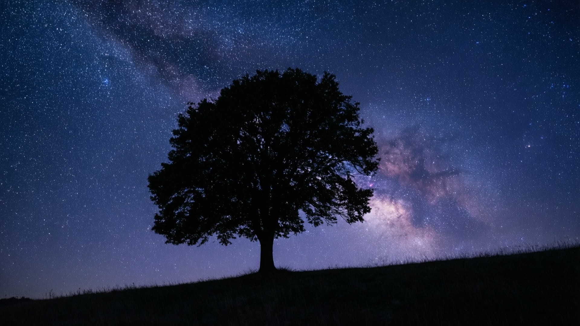 अकेला पेड़ तारों भरी रात वॉलपेपर