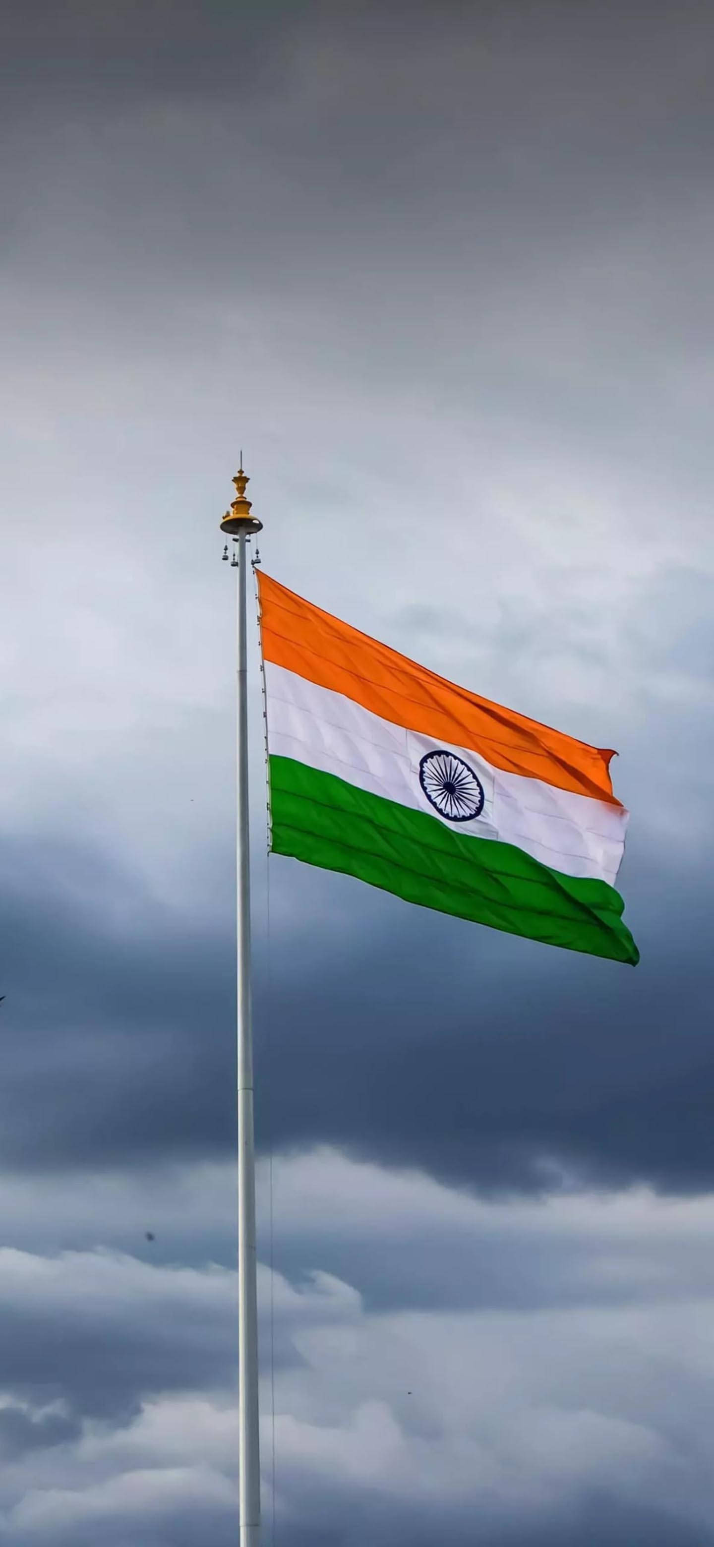 अद्भुत भारतीय ध्वज मोबाइल वॉलपेपर