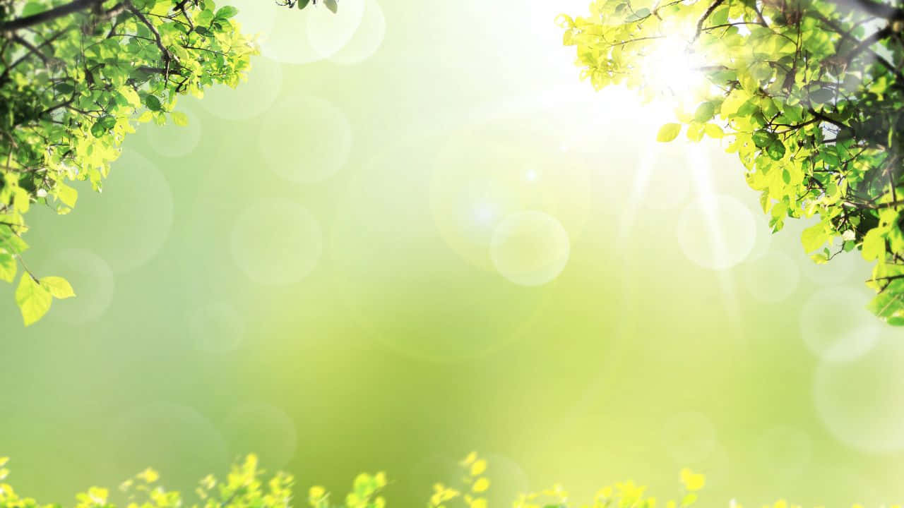 अनंत समुद्र तट का हवाई दृश्य वॉलपेपर