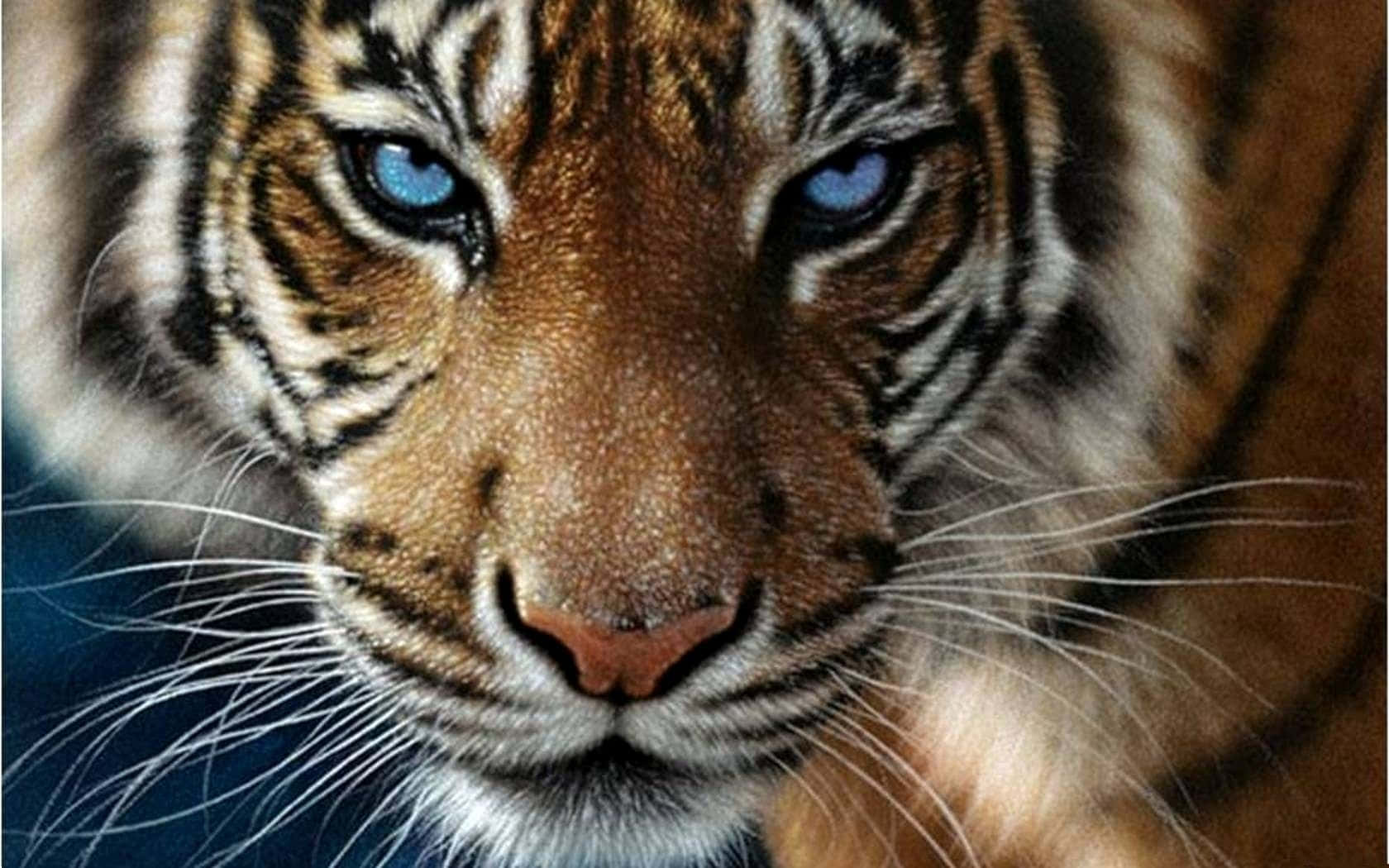 अपने प्राकृतिक आवास में राजसी जंगली बाघ वॉलपेपर