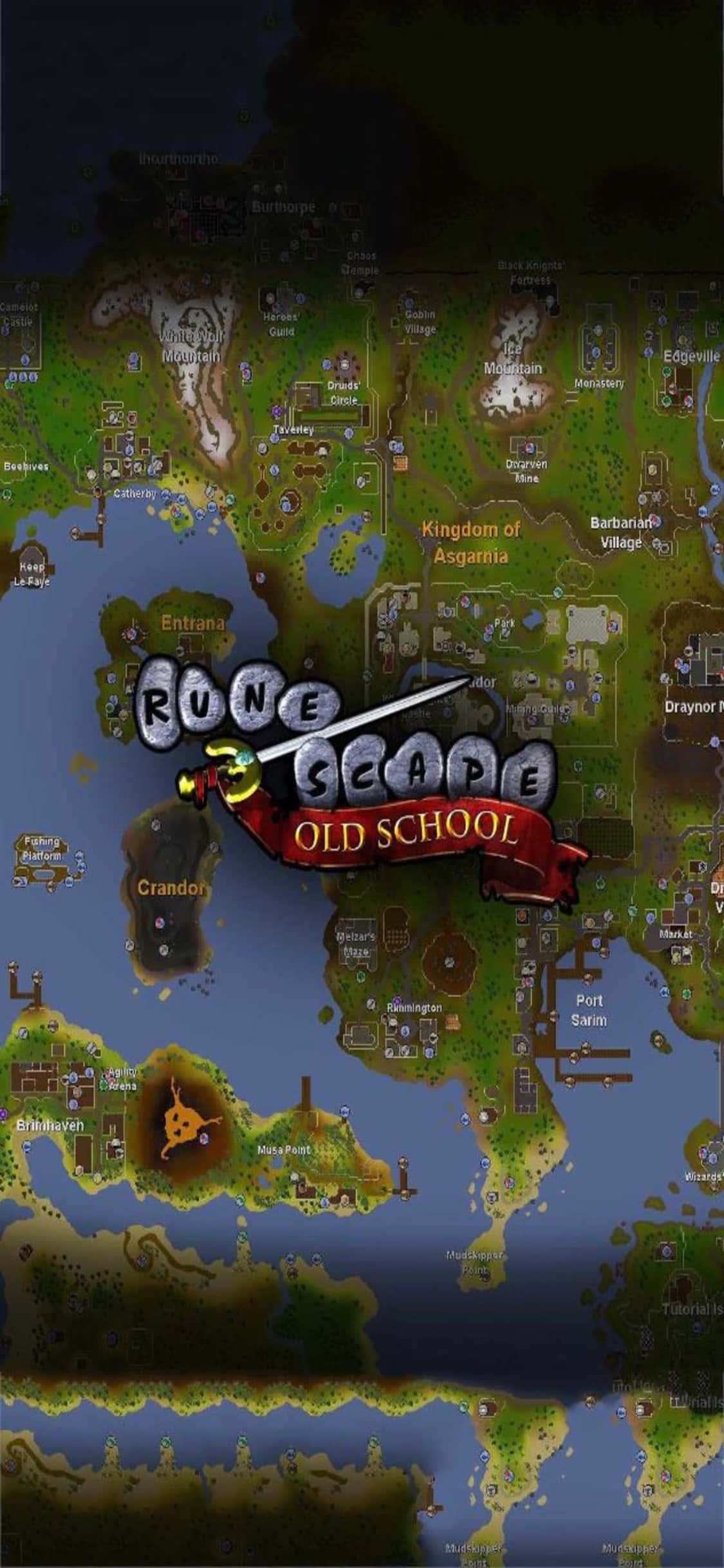 iPhone X Runescape Oldschool पृष्ठभूमि में टाइलमैप वॉलपेपर