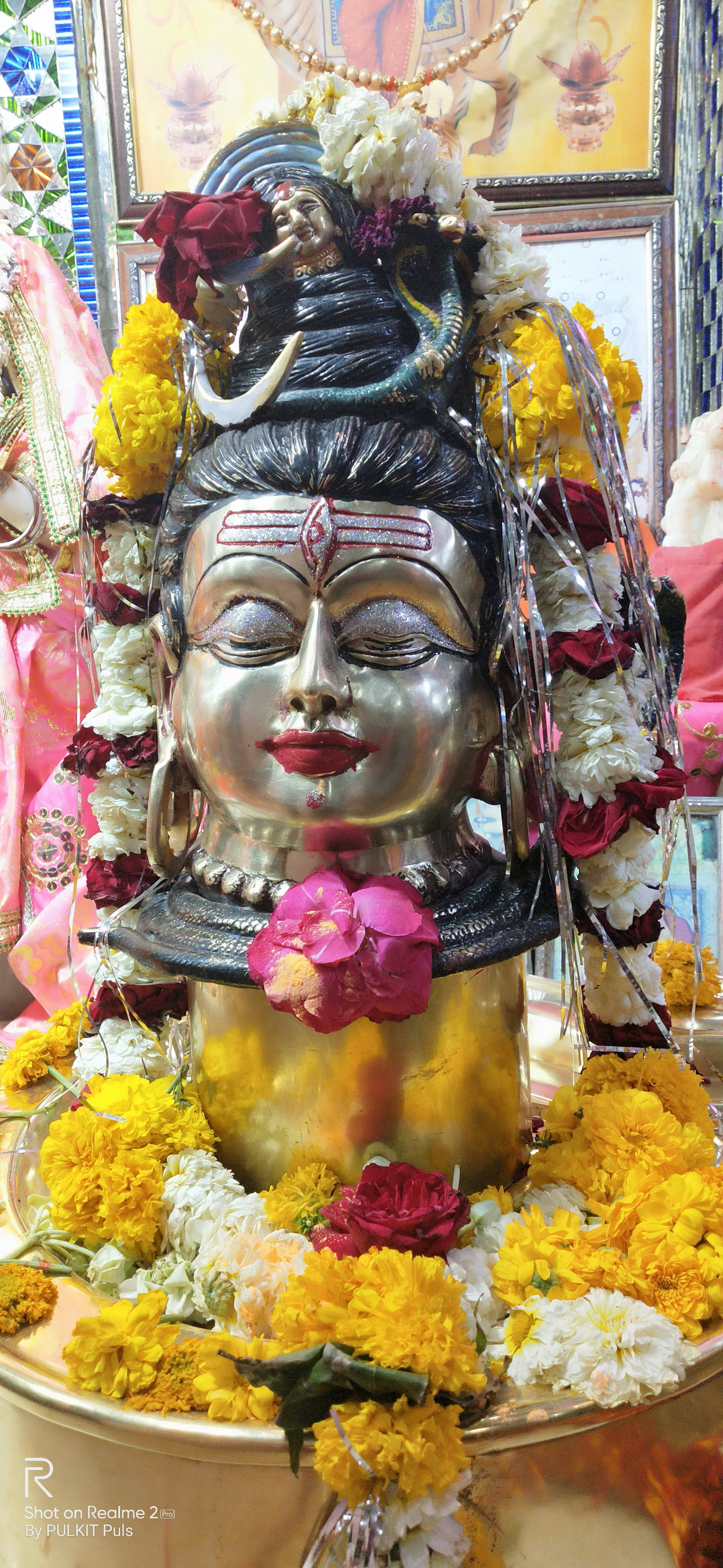 उज्जैन महाकाल पीले फूल वॉलपेपर