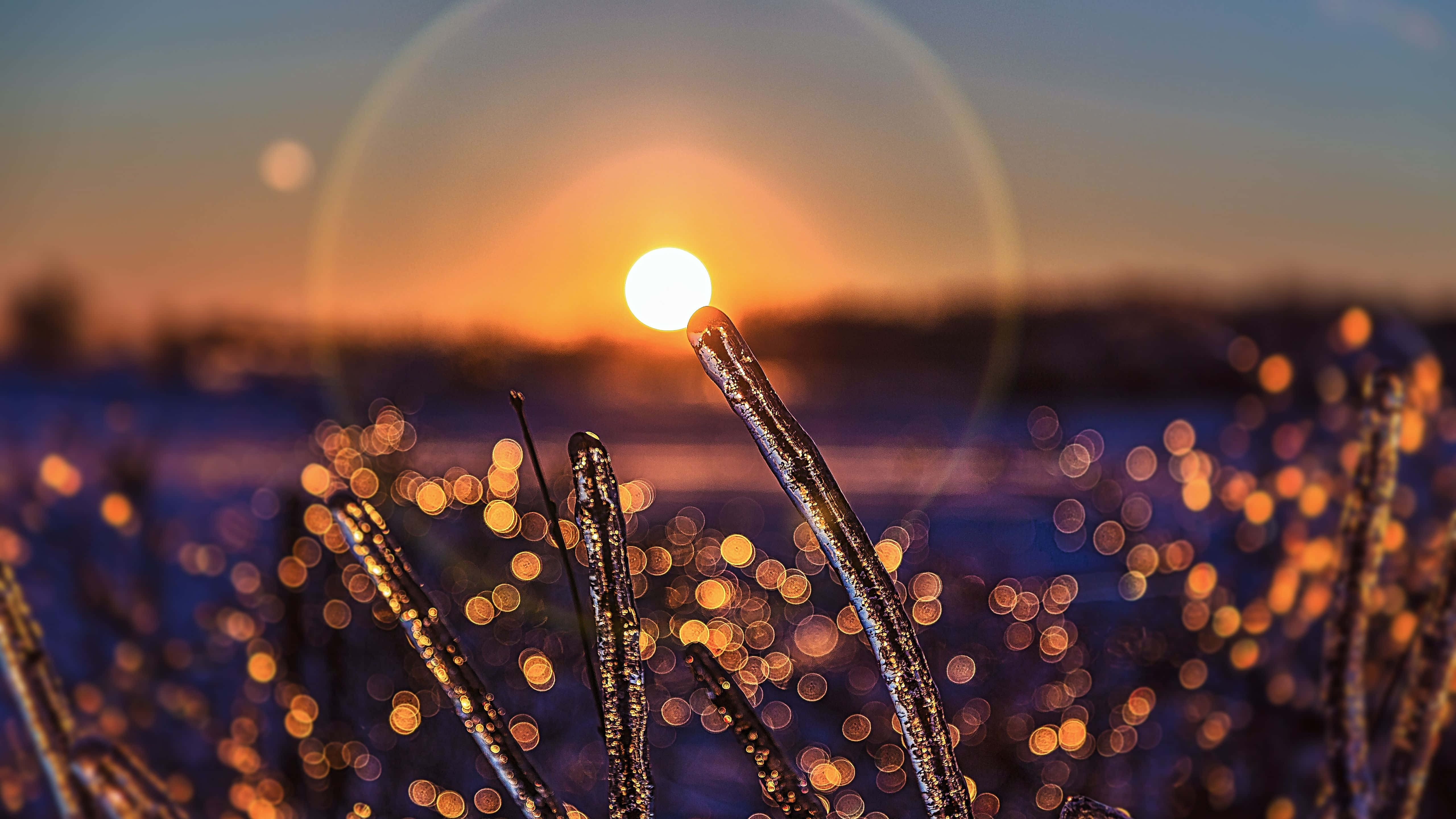 उड़ान भरें और सूरज को छूएं वॉलपेपर