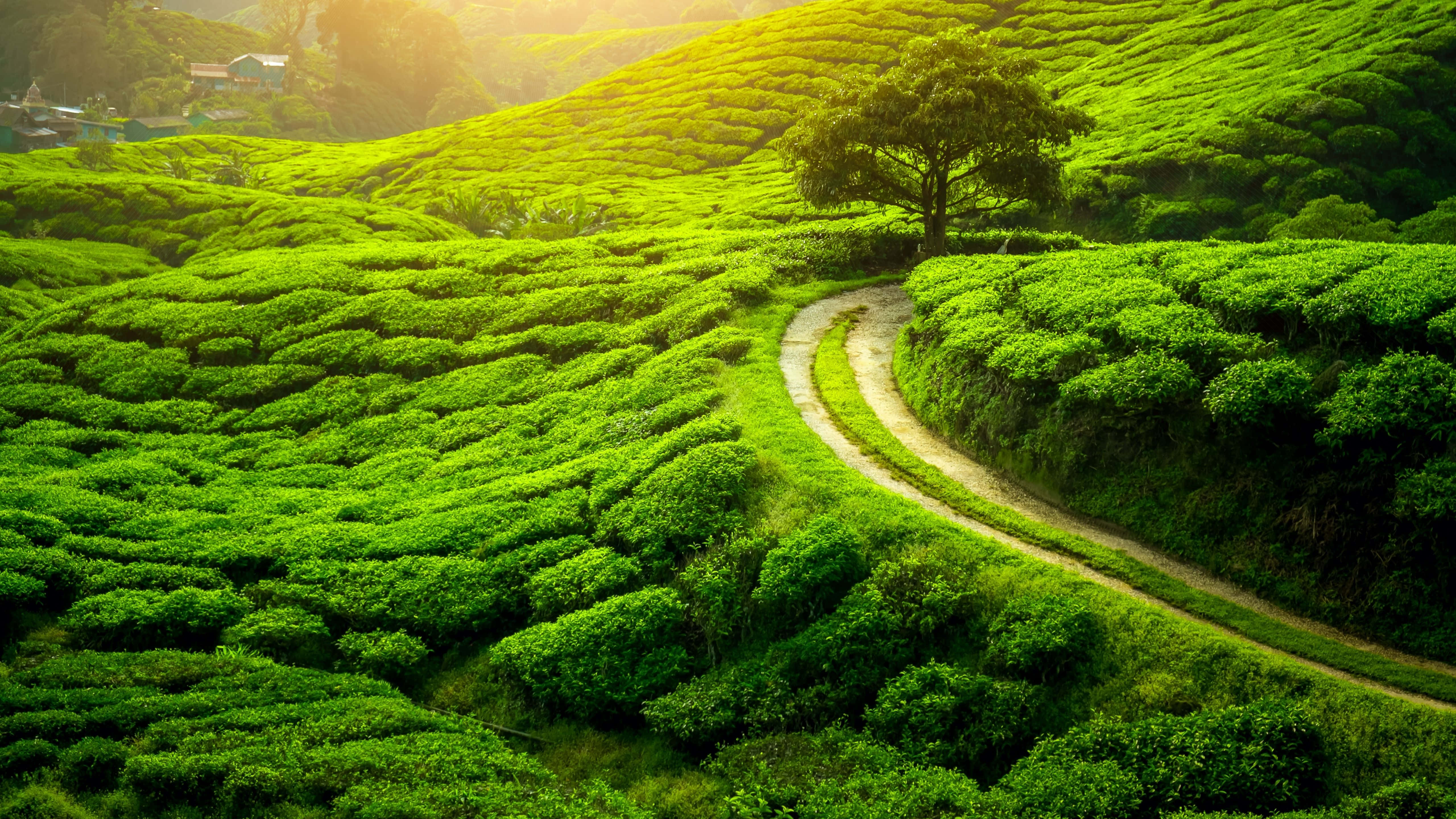 उत्तरी यूरोप के भव्य पर्वत वॉलपेपर