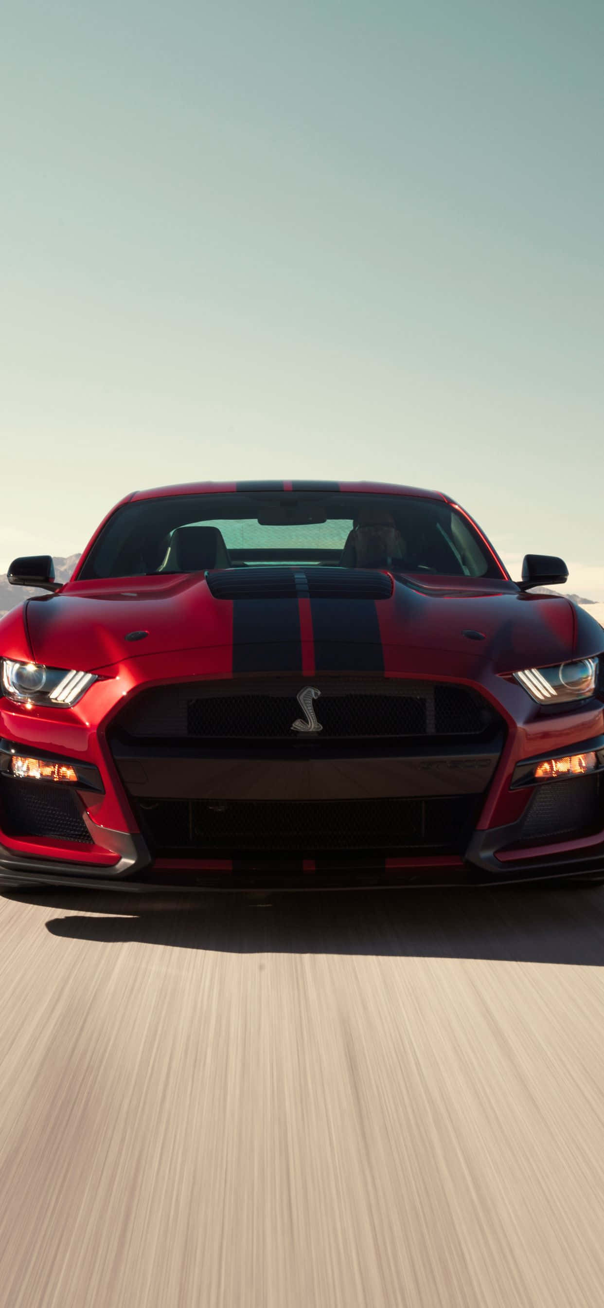 एक आकर्षक Mustang iPhone, हर प्रशंसक के लिए एकदम सही वॉलपेपर