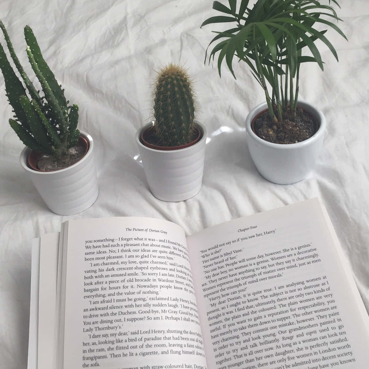 किताबों की दुनिया का अन्वेषण करें! 📖 वॉलपेपर
