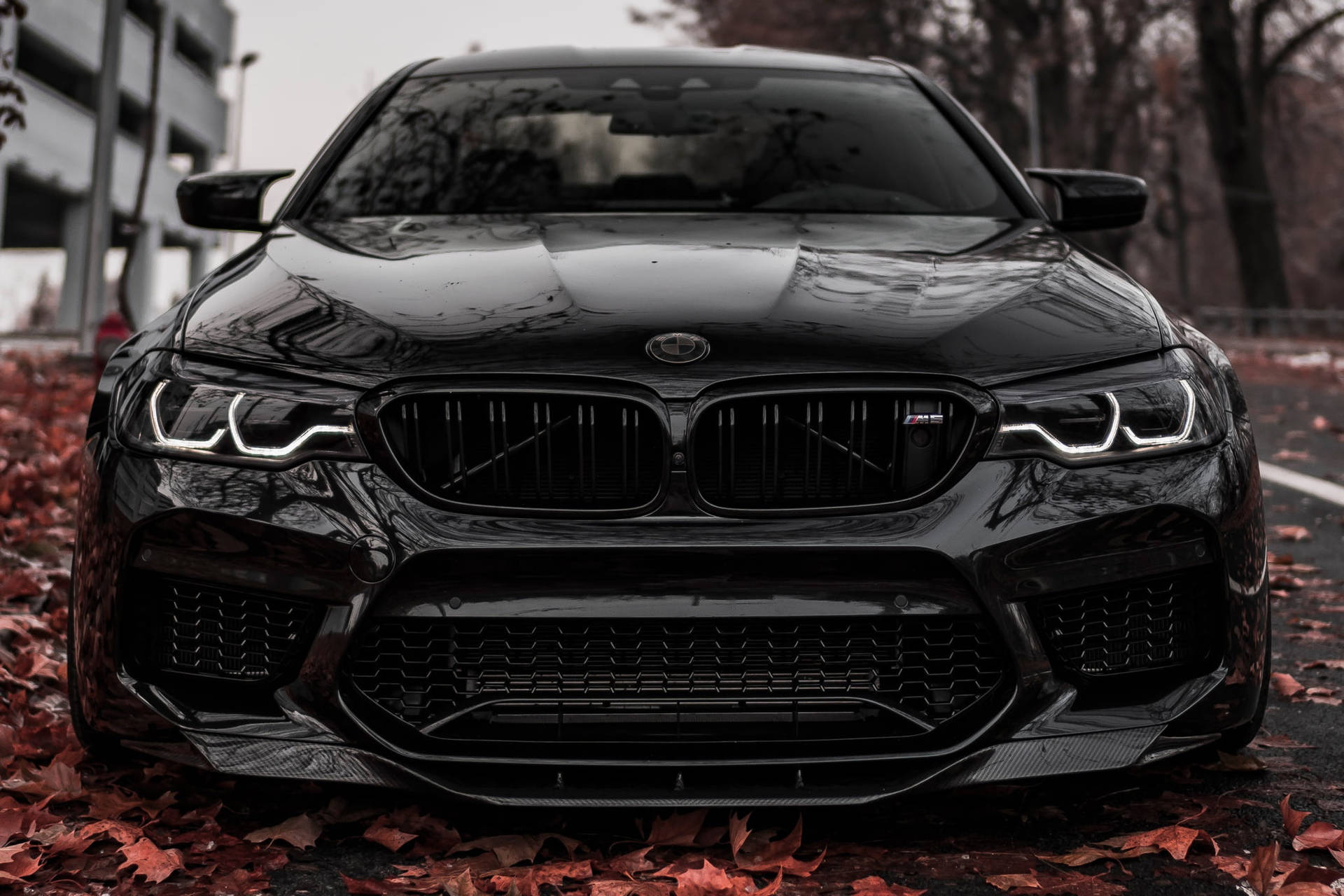 चमकदार काली BMW M5 लैपटॉप — Bmw वॉलपेपर