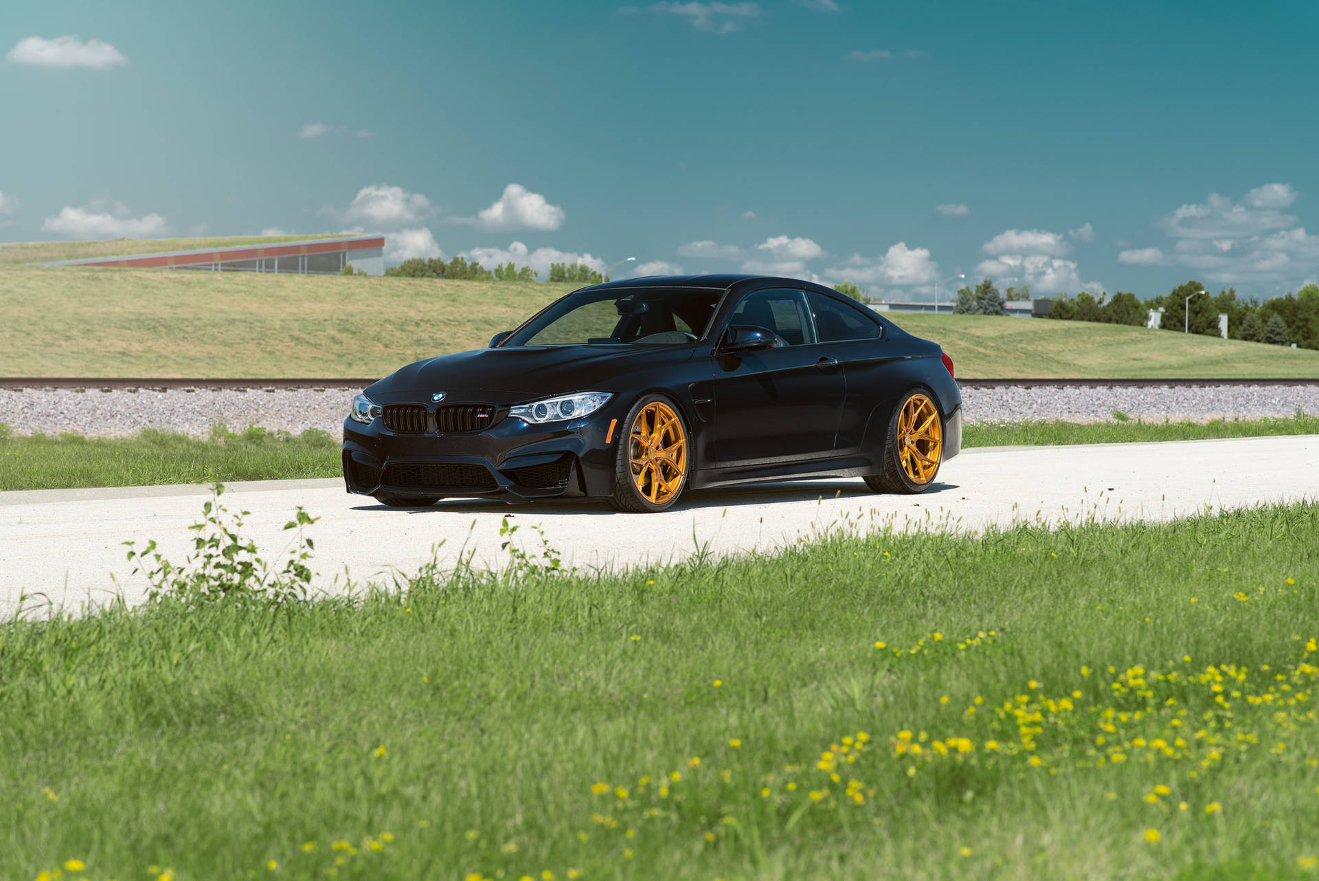 घास के साथ सड़क पर काली BMW M4 F82 कार वॉलपेपर — Bmw वॉलपेपर