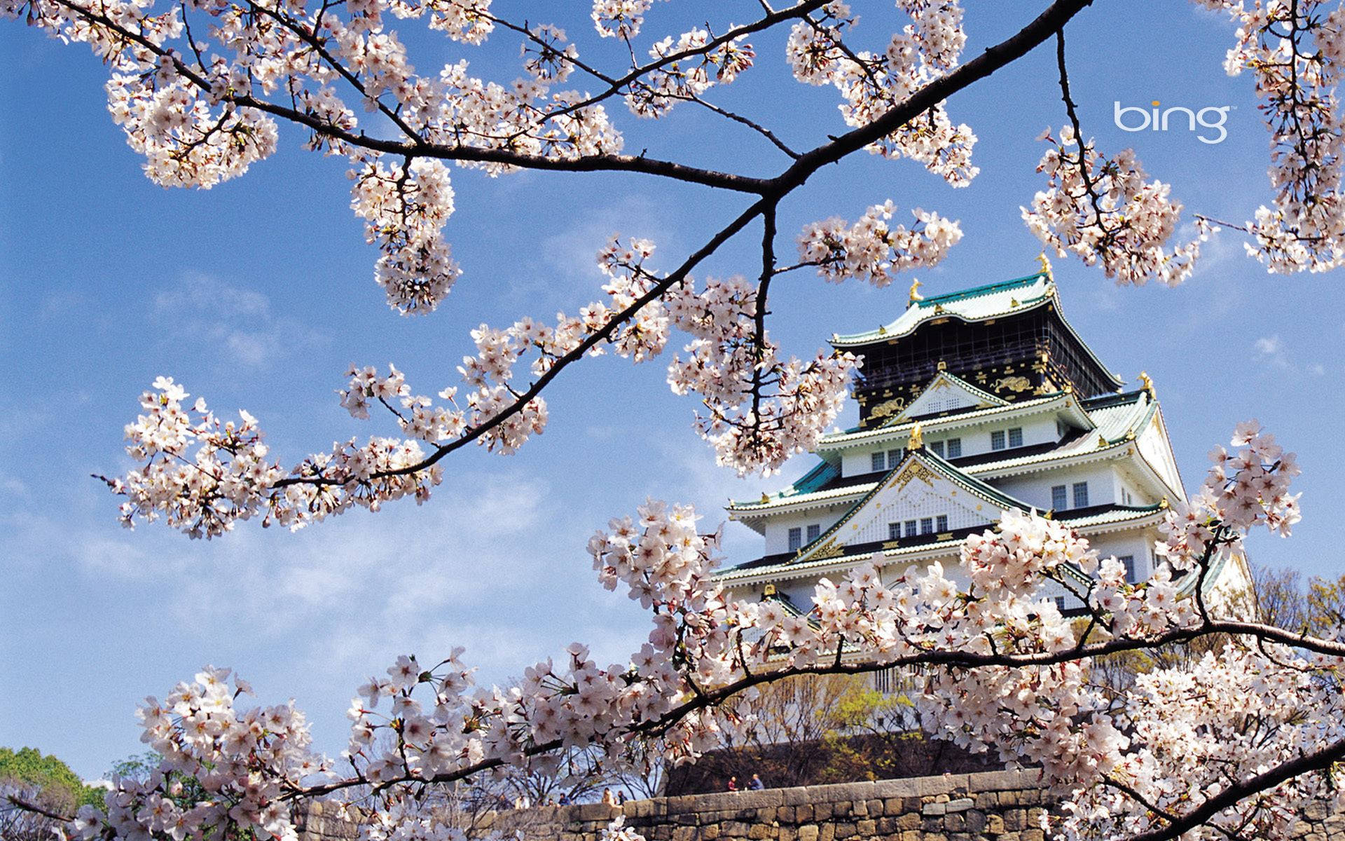 चेरी ब्लॉसम और सफेद महल वॉलपेपर — Japan GIF वॉलपेपर