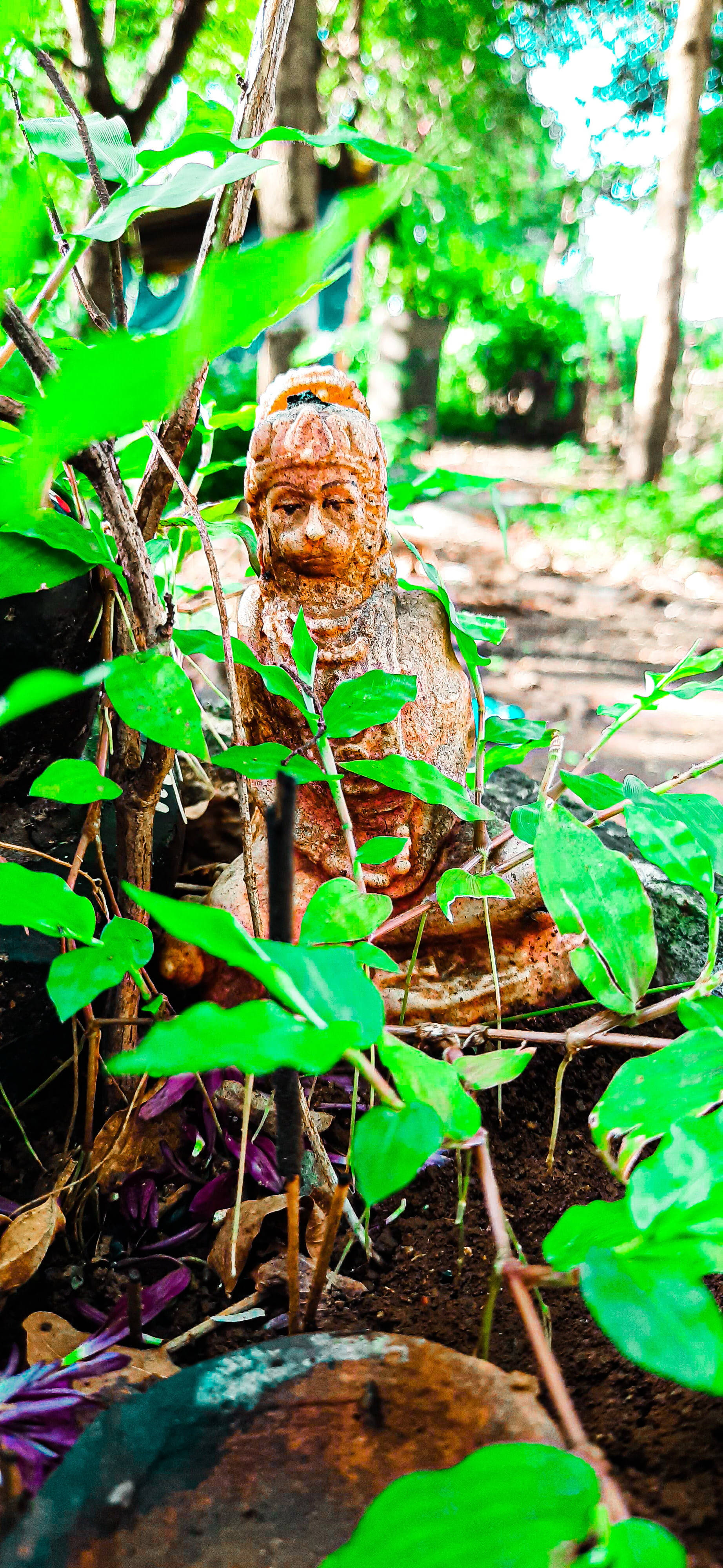 जय श्री राम एचडी वन मूर्ति वॉलपेपर
