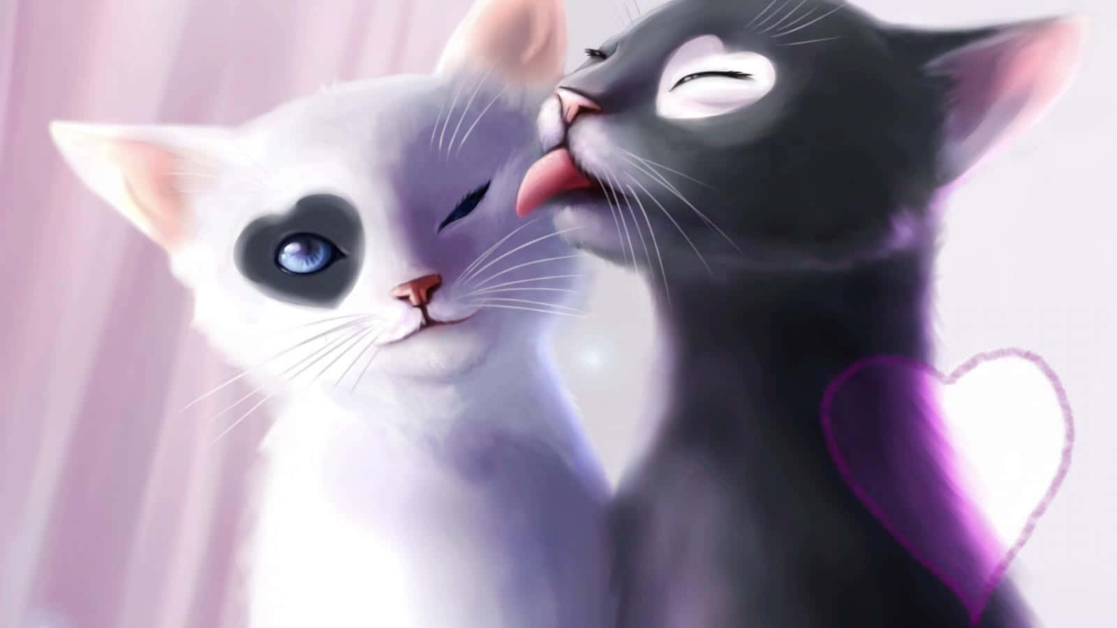 जादुई बिल्ली पूरी दुनिया में मुस्कान बिखेरती है वॉलपेपर