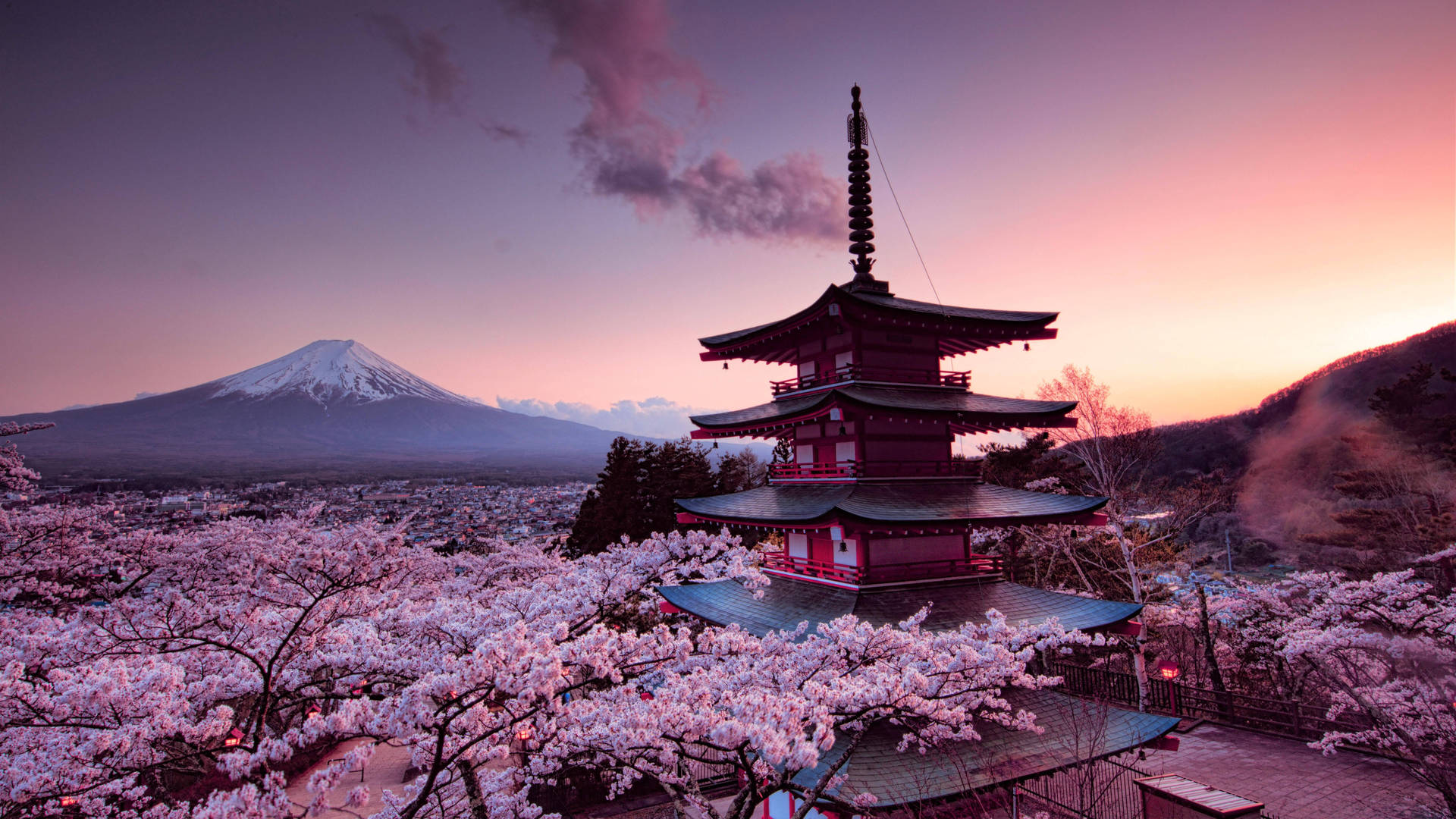 जापान चेरी ब्लॉसम — Japan GIF वॉलपेपर