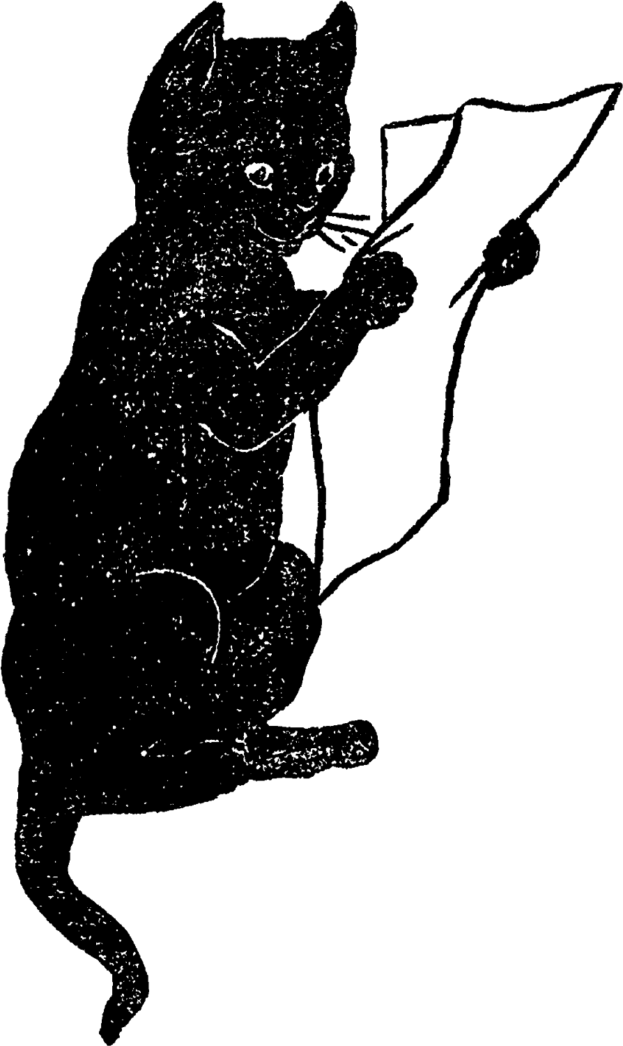 जिज्ञासु बिल्ली धागे से खेलती हुई वॉलपेपर