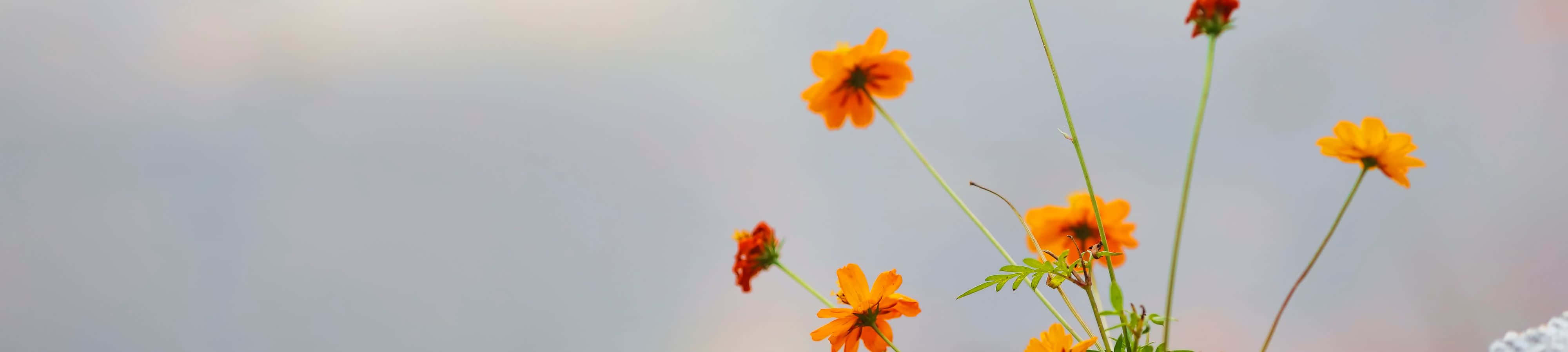 झील और पहाड़ों का सुंदर प्राकृतिक दृश्य वॉलपेपर