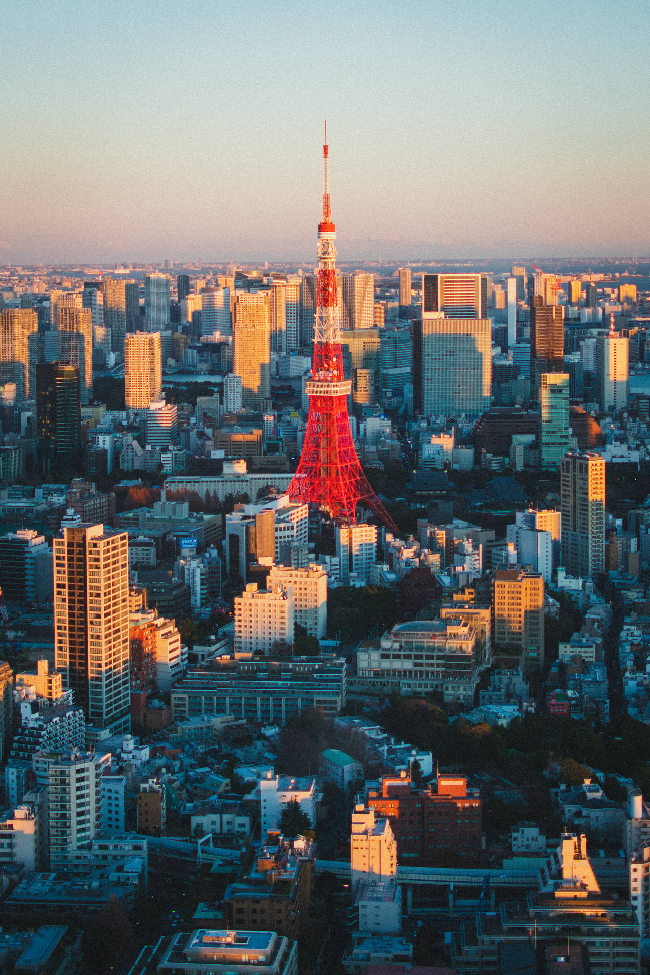 टोक्यो महानगर और लाल टोक्यो टॉवर — Japan GIF वॉलपेपर