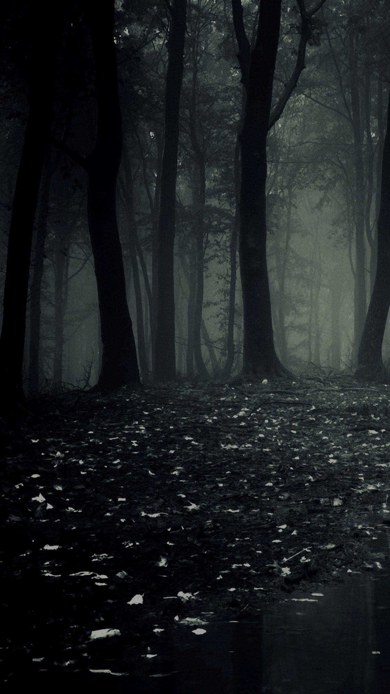 डार्क फोन डरावना जंगल वॉलपेपर