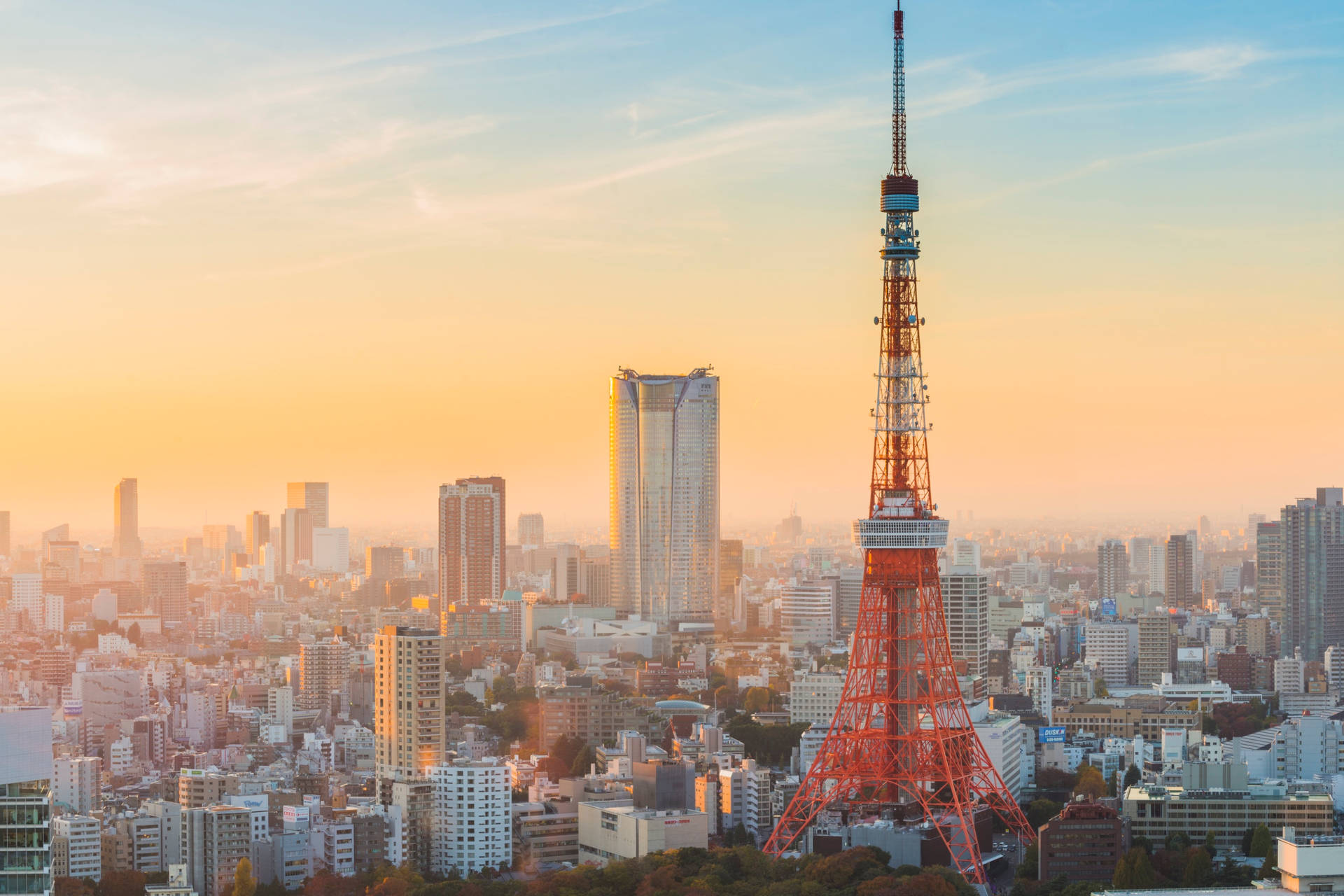 दिन के समय टोक्यो टॉवर — Japan GIF वॉलपेपर