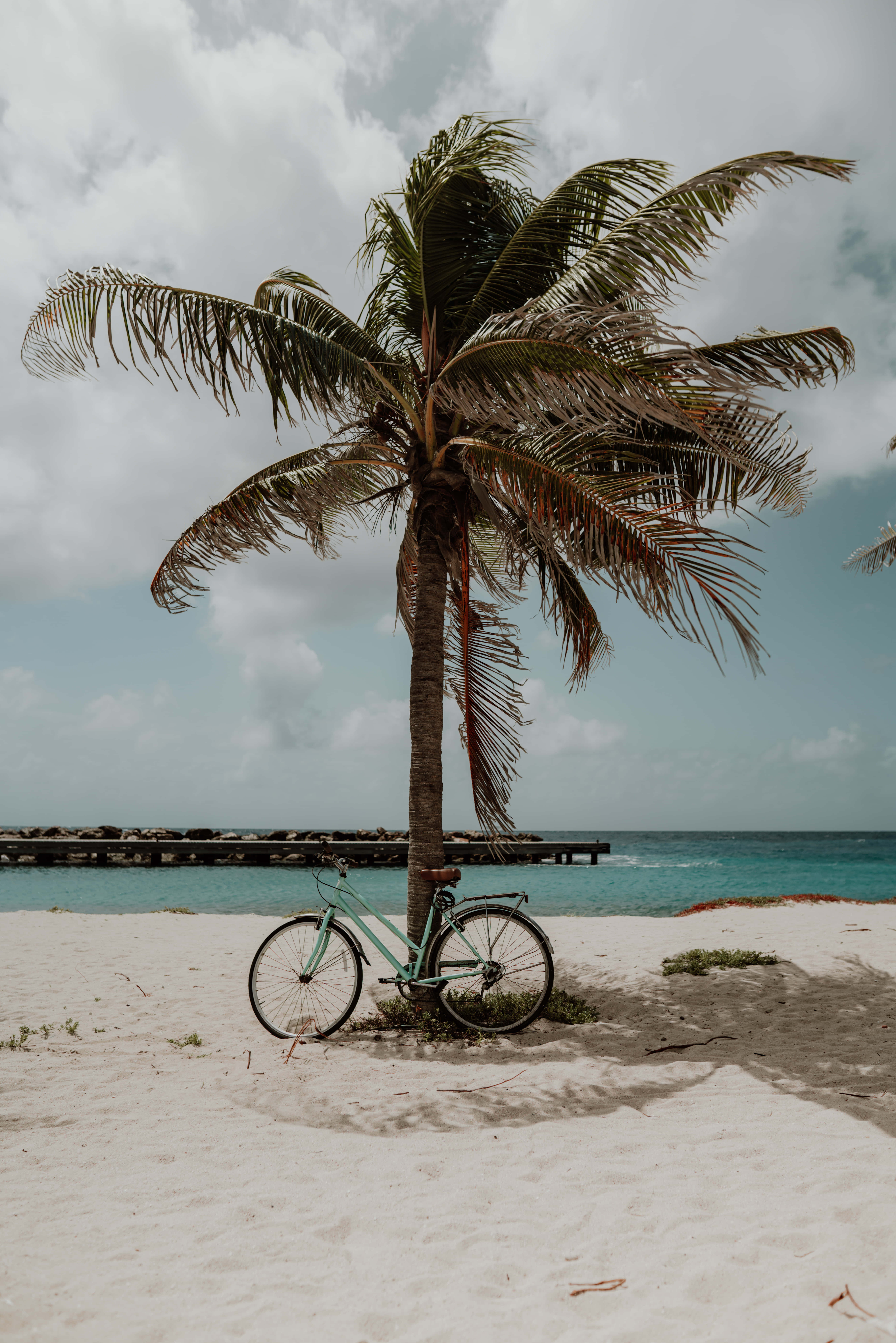 धूप से सराबोर शांति को अपनाते हुए वॉलपेपर