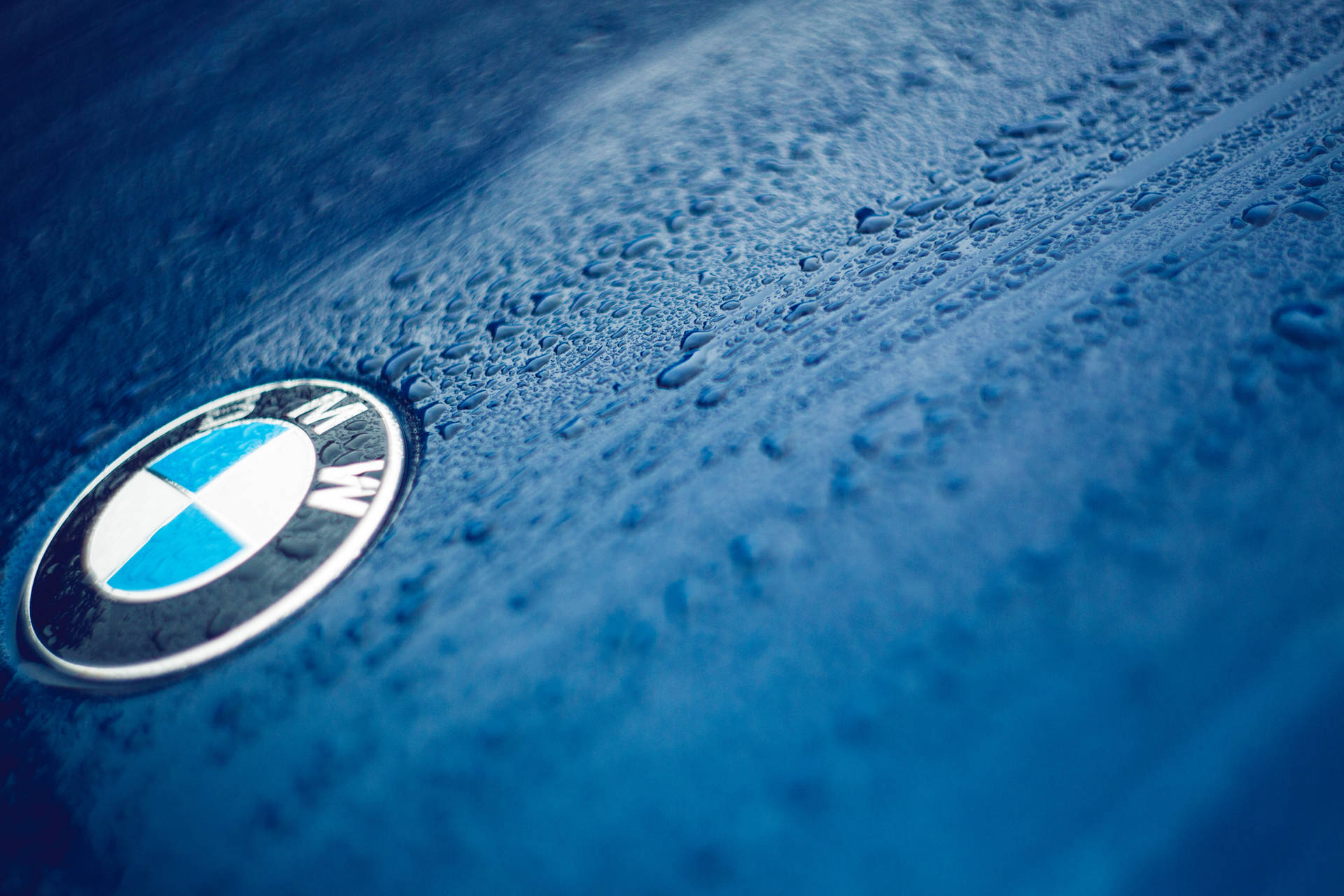 बूंदों के साथ नीली कार पर BMW लोगो का क्लोज़-अप वॉलपेपर — Bmw वॉलपेपर