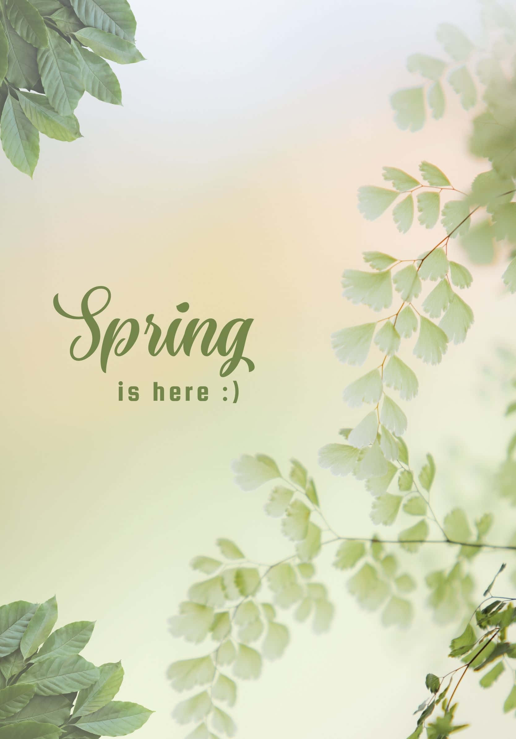 न्यूनतम बेस्ट स्प्रिंग ग्रीन लीव्स बैकग्राउंड वॉलपेपर