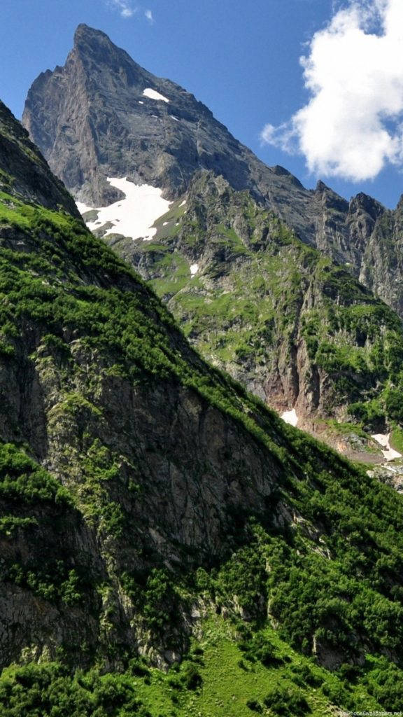 पहाड़ी जंगल प्रकृति आईफोन वॉलपेपर